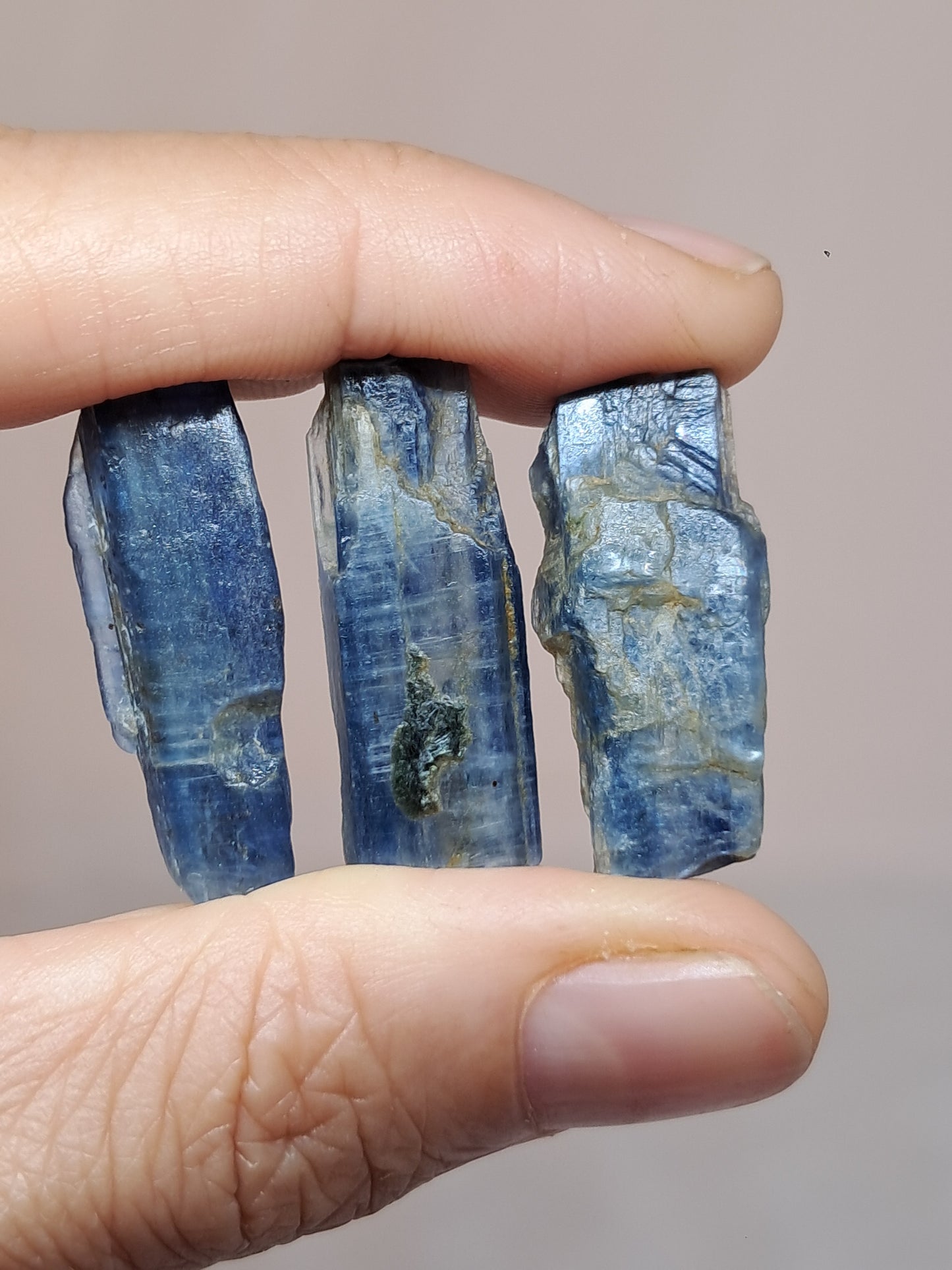Set of 3 Blue Kyanites (Nepal) Natural Crystals #KY24