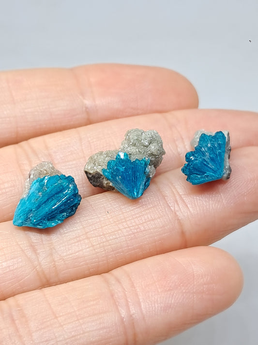 Set of 3 Small Cavansites on Heulandite Matrix (Wagholi) Rough Stone | Natural Crystal | Rare Mineral Specimen #CV38
