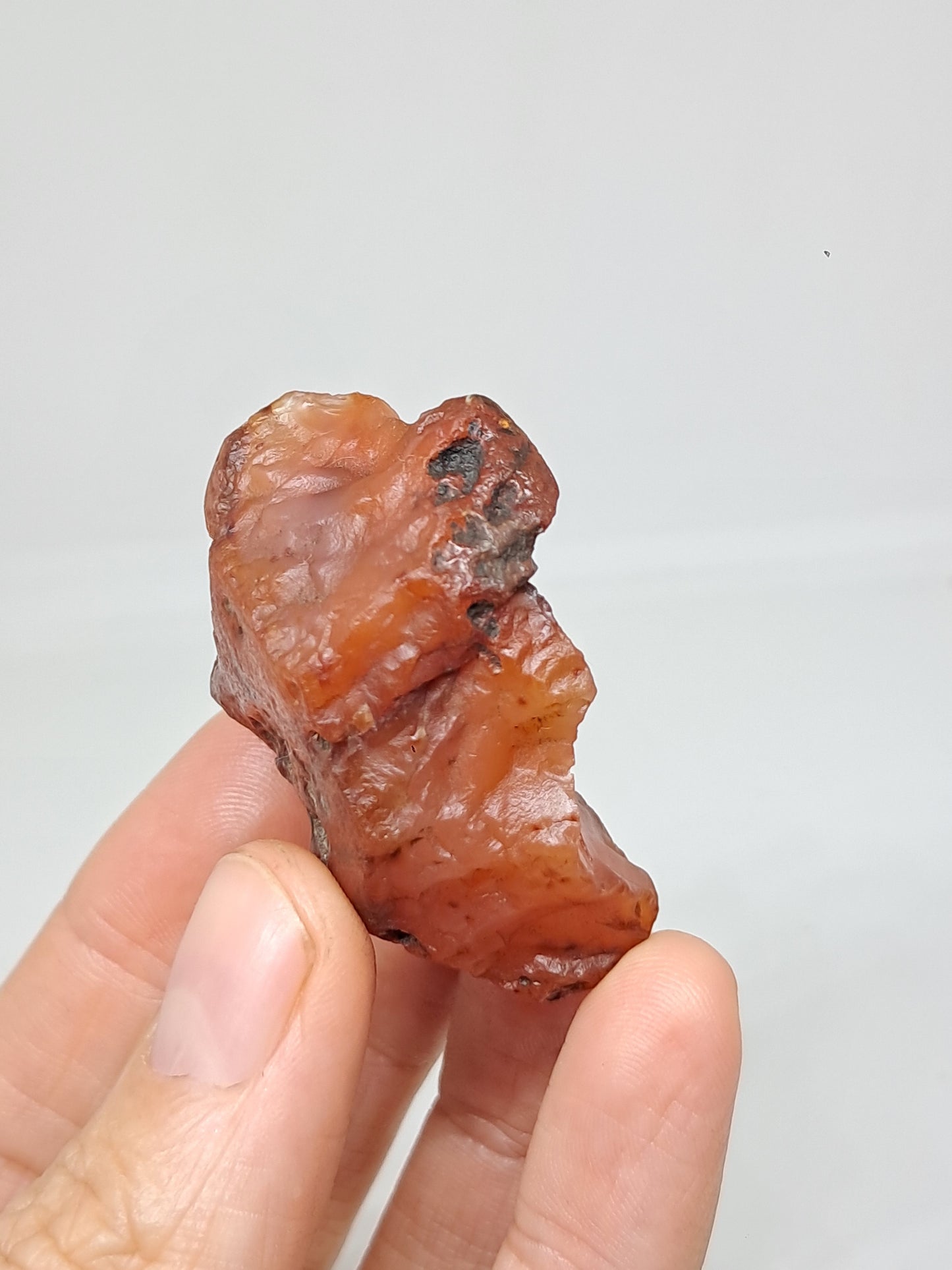 Rough Carnelian (India) Raw Stone | Natural Crystal | Mineral Specimen #CRN18