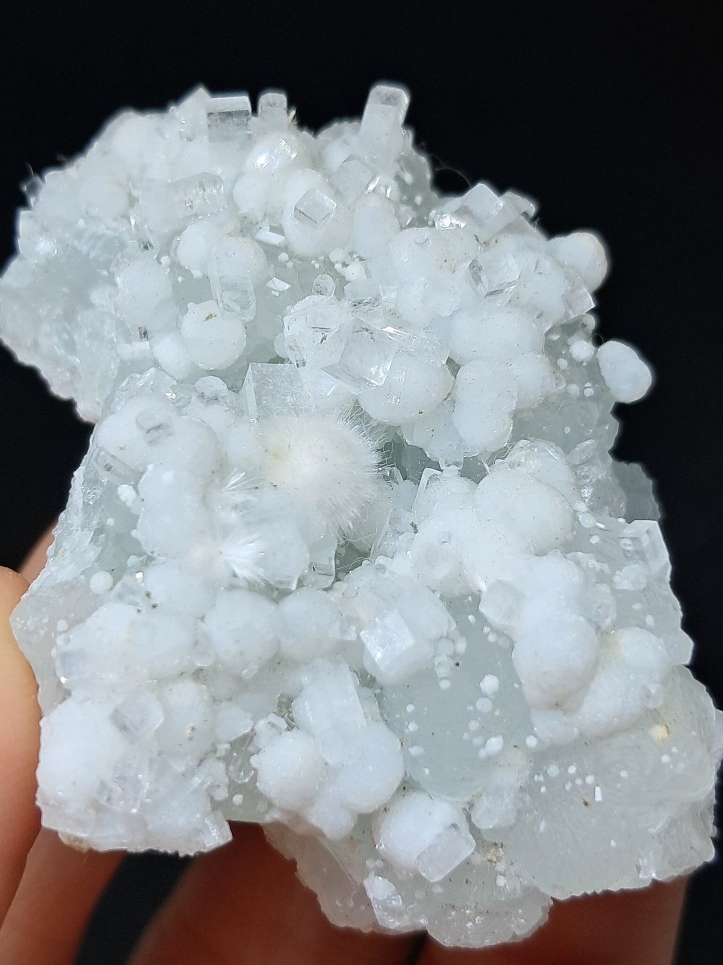 Okenite w/ Gyrolite and Apophyllite Cluster on Prehenite Matrix (Mumbai) Mineral Specimen | Collector Grade | Natural Crystal #OK46