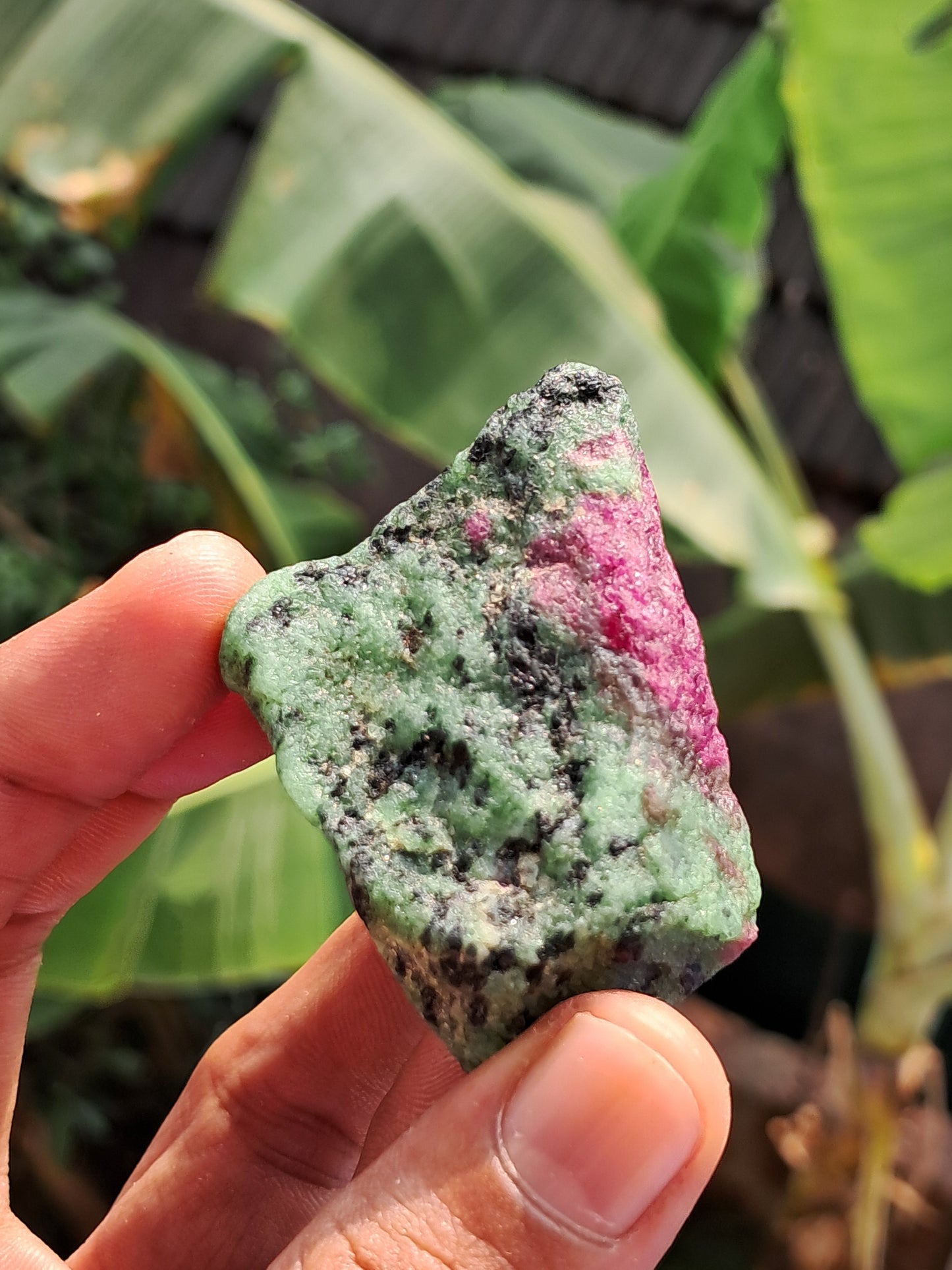 Ruby Zoisite w/ Hornblende (Tanzania) Rough Stone | Natural Specimen #RZ8
