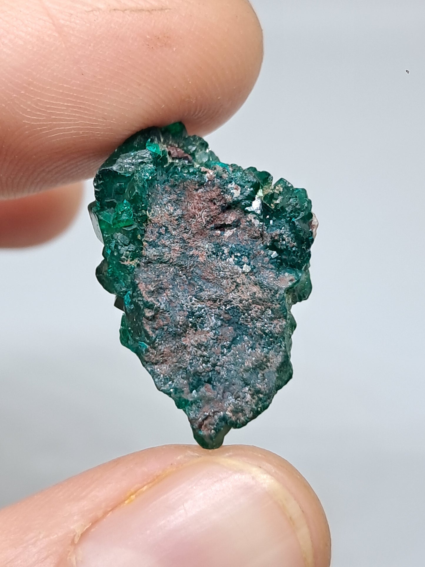 Cúmulo natural de dioptasa (República Democrática del Congo) | Cristal en bruto | Ejemplar mineral n.° DPT3