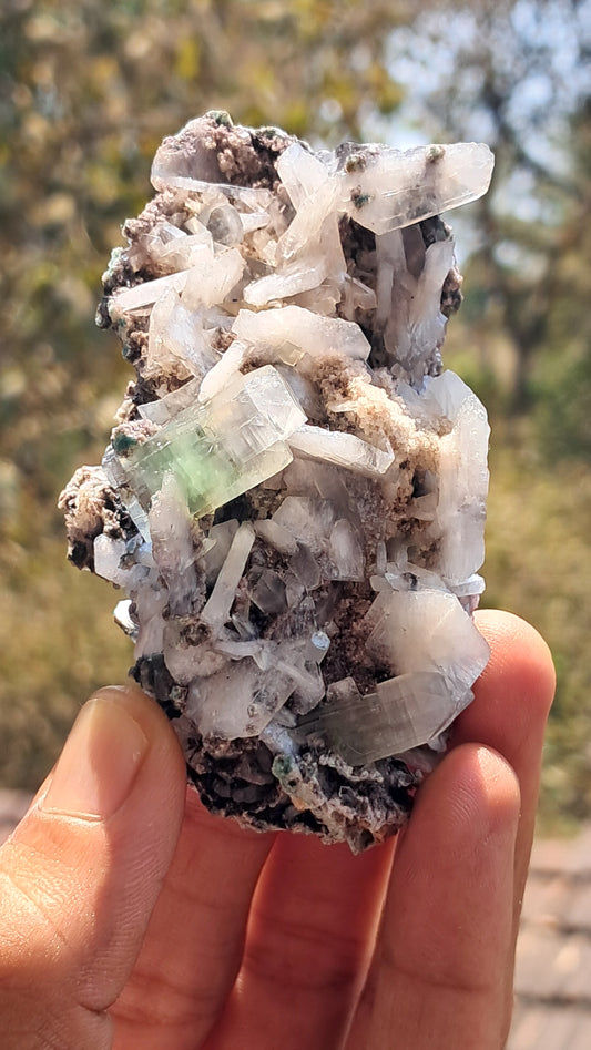 Apofilita Verde (Fluorapofilita) con Estilbita en Matriz (Ajanta) Cristal Natural | Muestra Mineral #GA17