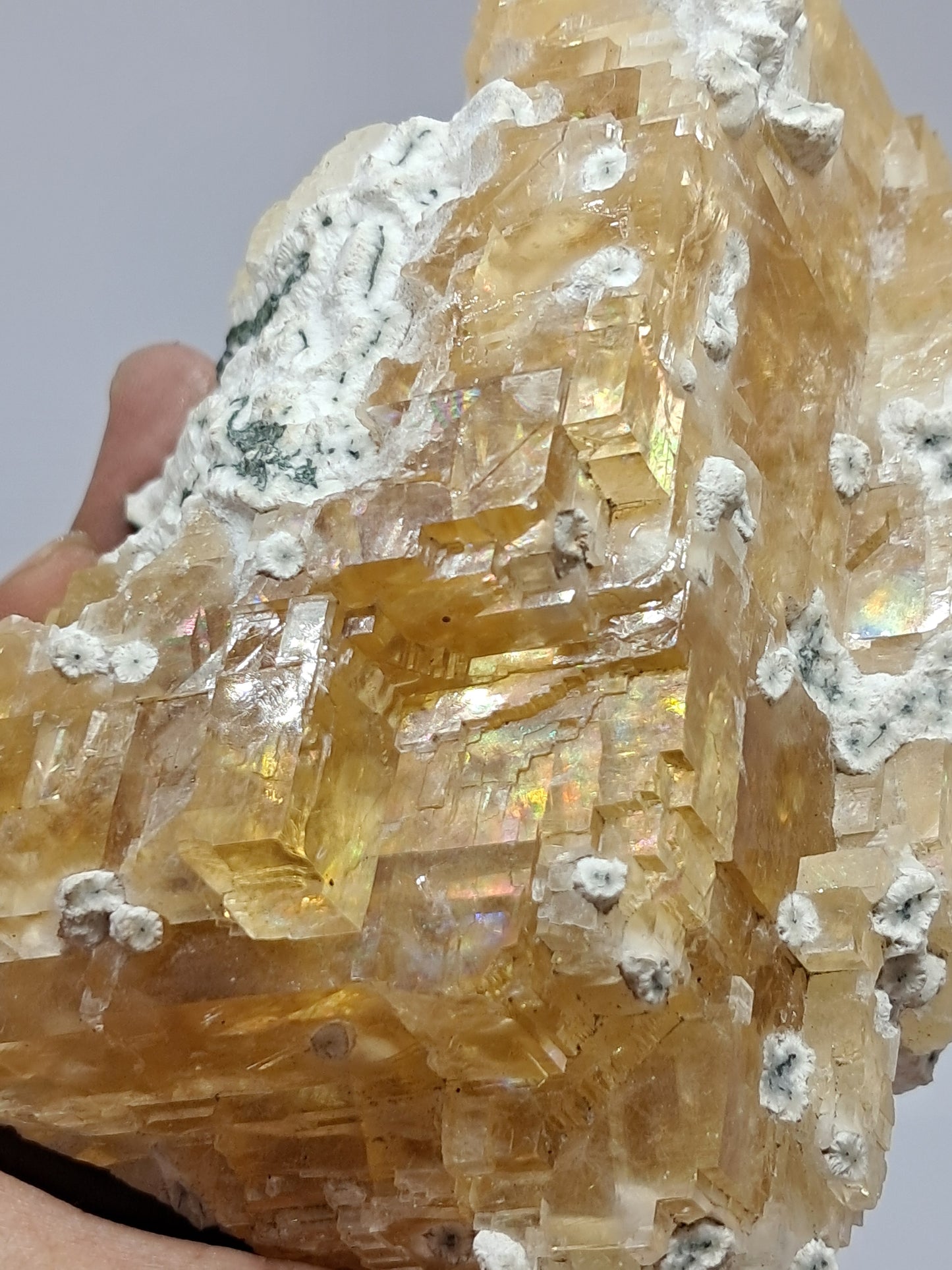 Honey Calcite w/ Okenite (India) Rough Crystal | Natural Stone | Mineral Specimen #CA20