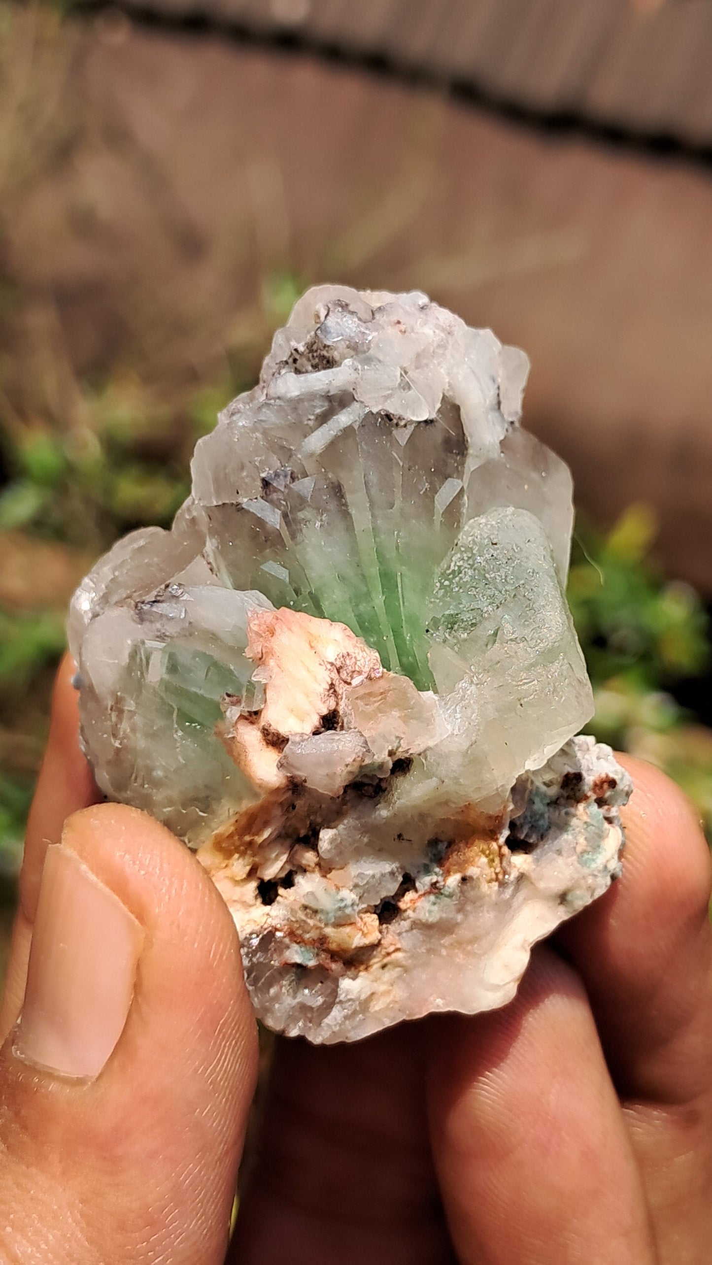 Apofilita Verde (Fluorapofilita) en Matriz (Ajanta) Cristal Natural | Muestra Mineral #GA24