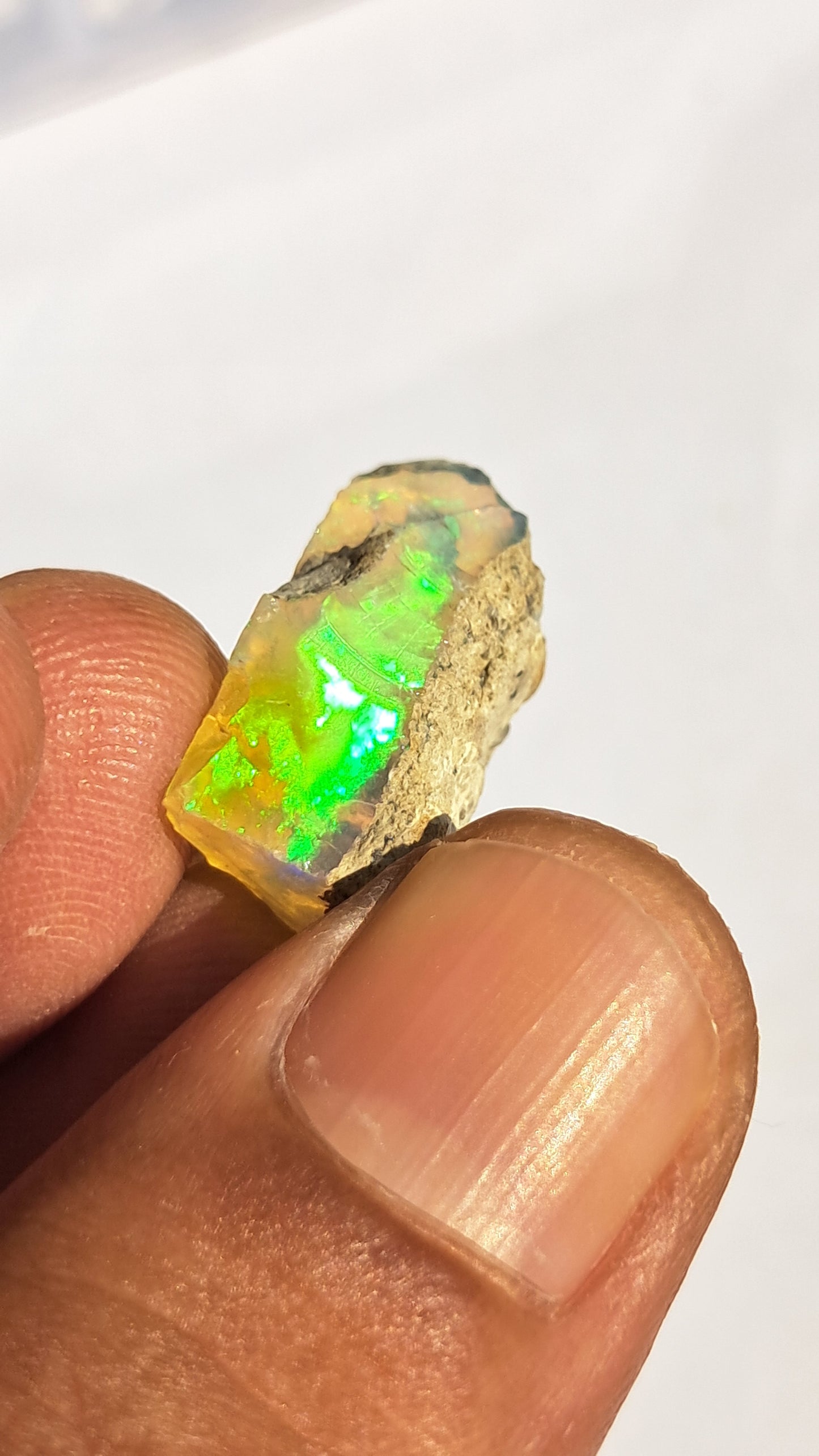 Natural Ethiopian Opal Rough | White Hydrophane Opal with Bright Play of Color #OP16