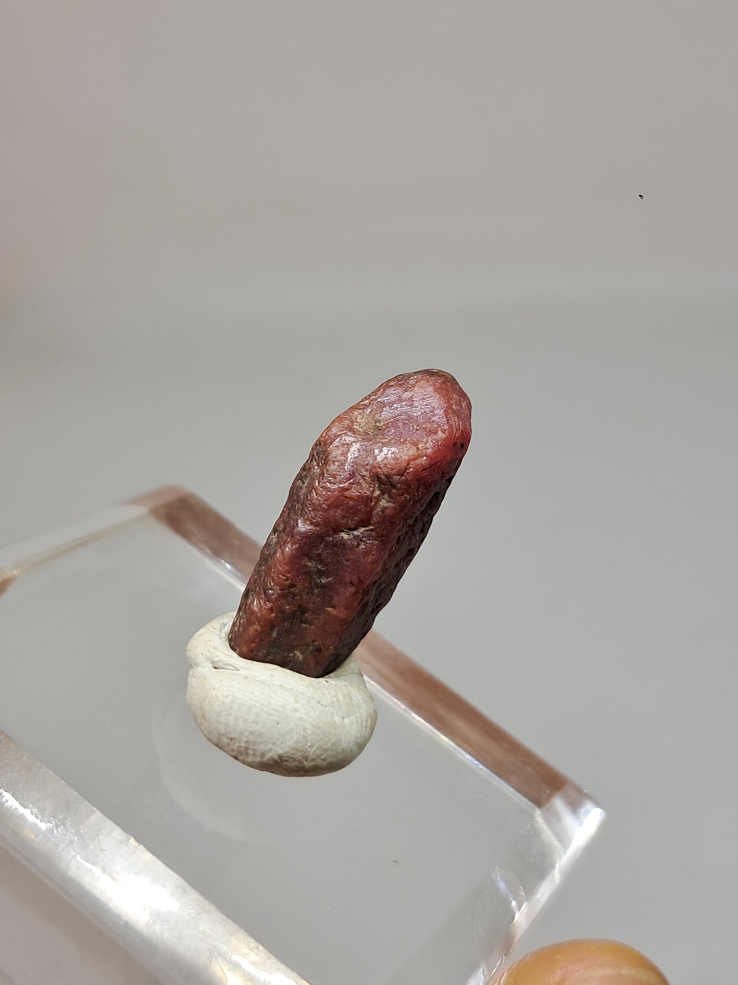 Cristal de Rubí en Bruto (Tamil Nadu) Piedra Natural | Muestra Mineral #RB26