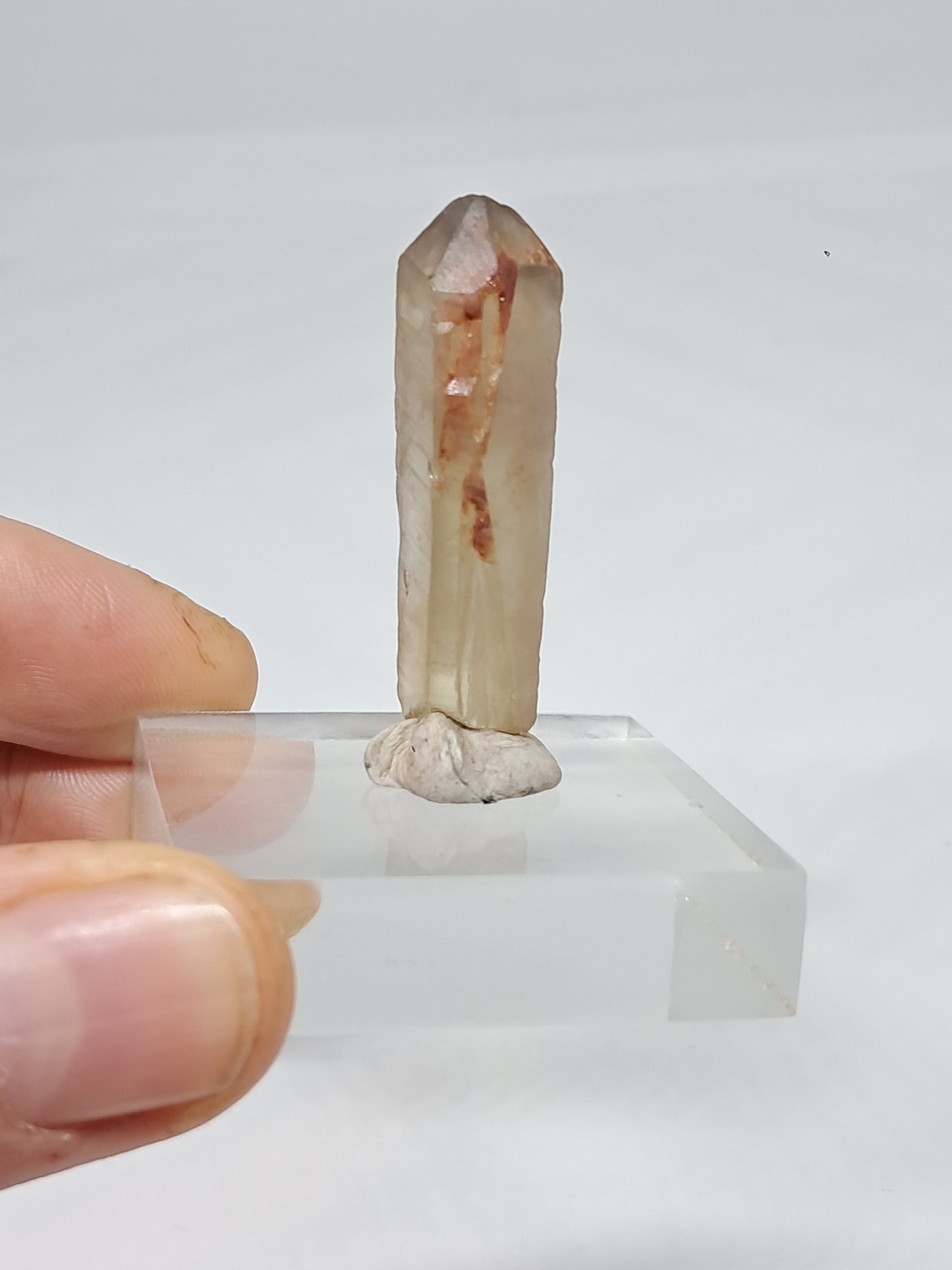 Natural Citrine Crystal Point (Democratic Republic of Congo) #CTN33