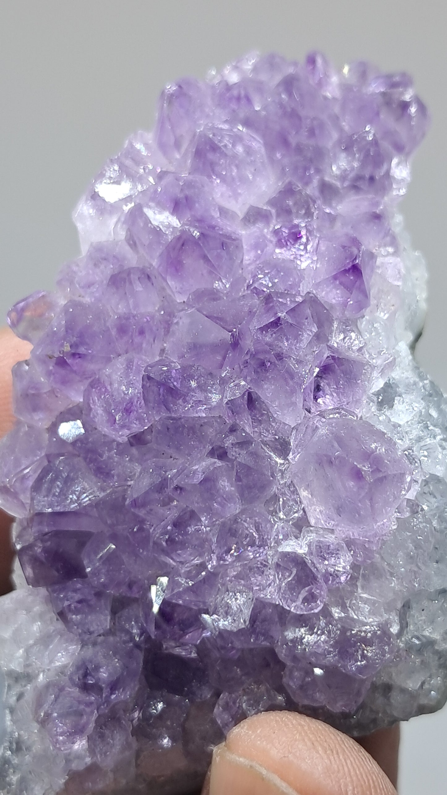Deep Purple Amethyst (Brazil) | Natural Cluster | Mineral Specimen #AMB11