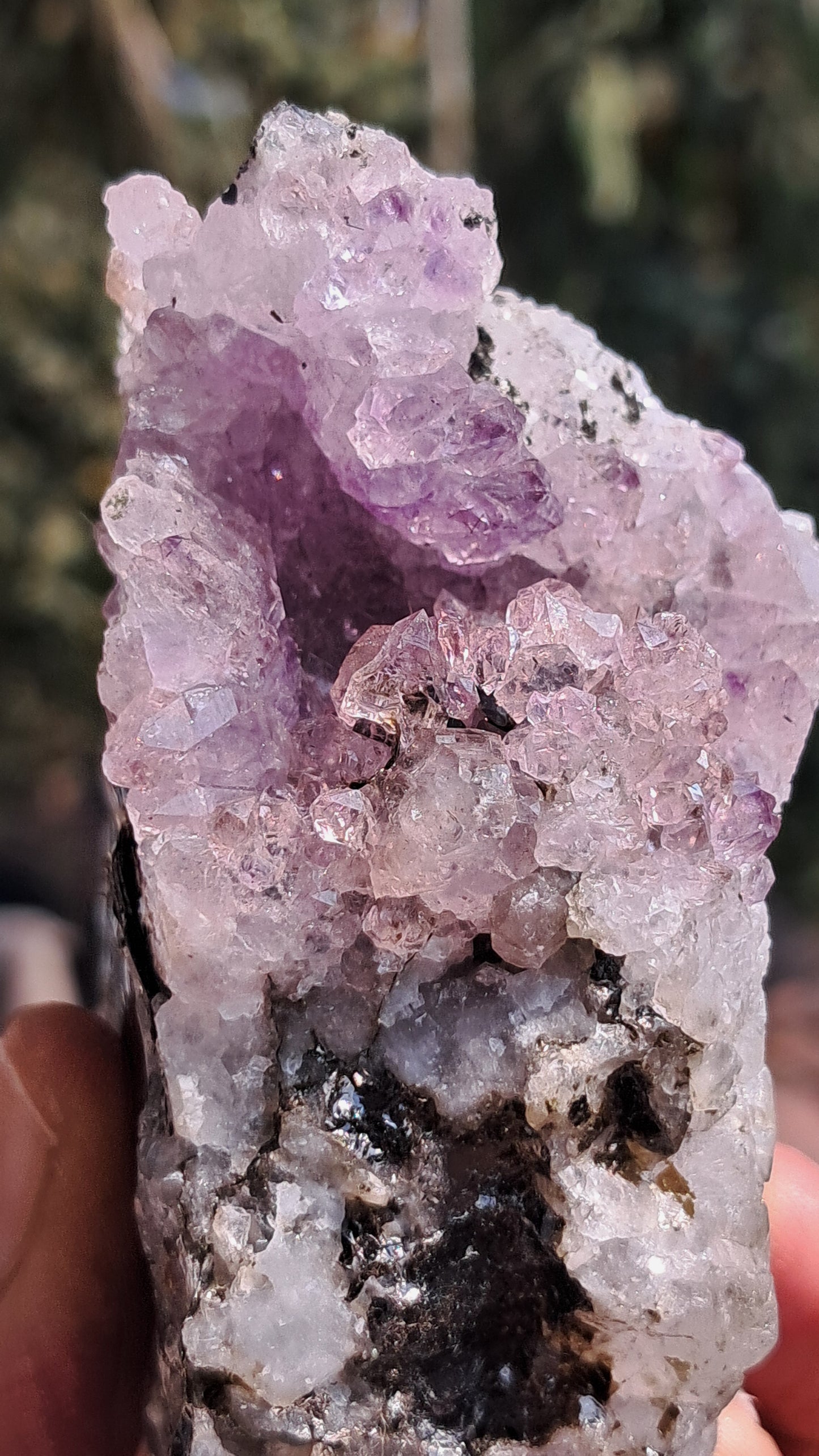 Amethyst Scepters formed in Quartz with Mica | "Super Seven" inclusions | Mineral Specimen #KA189