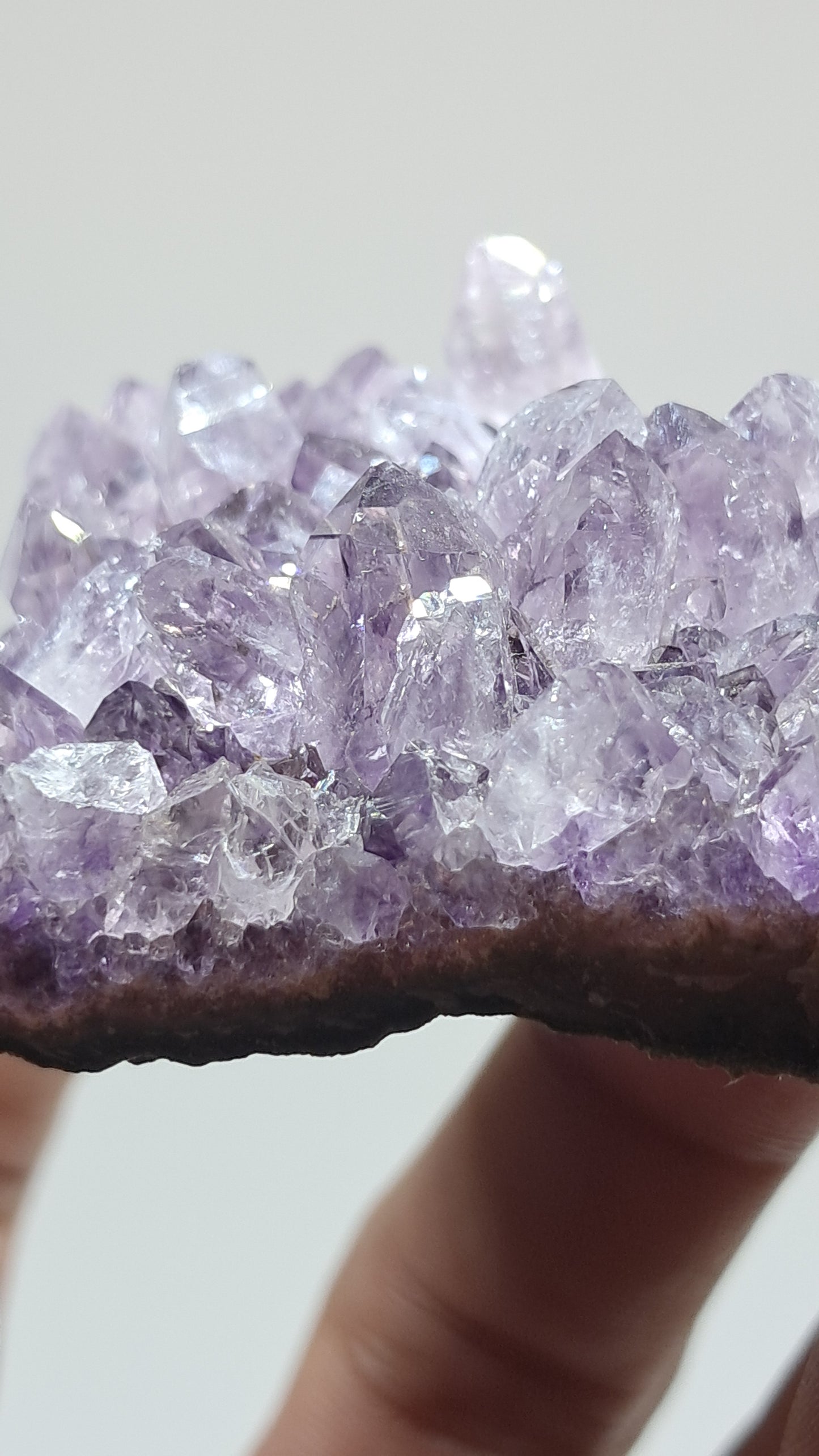 Amatista Morada Profunda (Brasil) | Drusa Natural | Mineral de Colección #AMB5