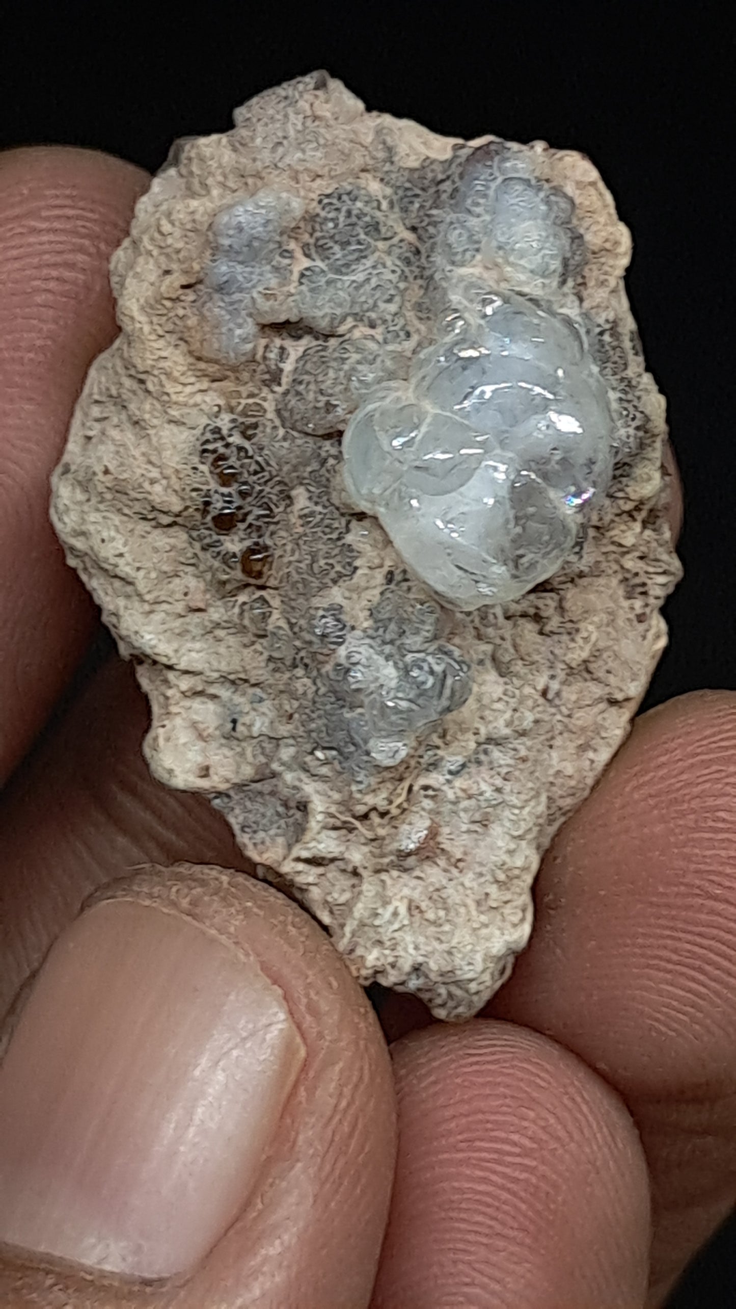 Hyalite Opal on Matrix (Mexico) Rough Crystal Stone | UV-Reactive Mineral Specimen #OH1