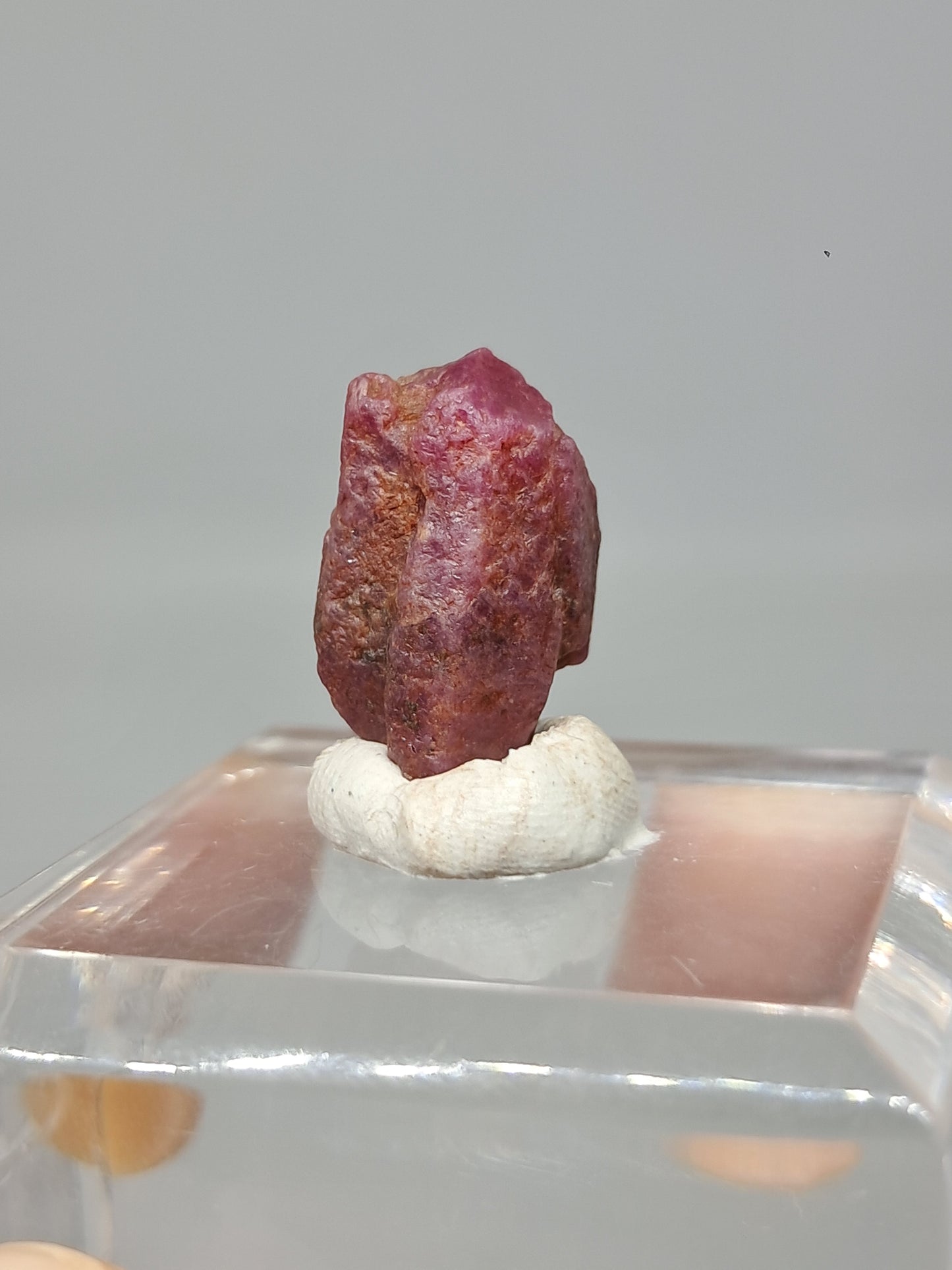 Cristal de rubí en bruto (Tamil Nadu) Piedra natural | Muestra mineral #RB22