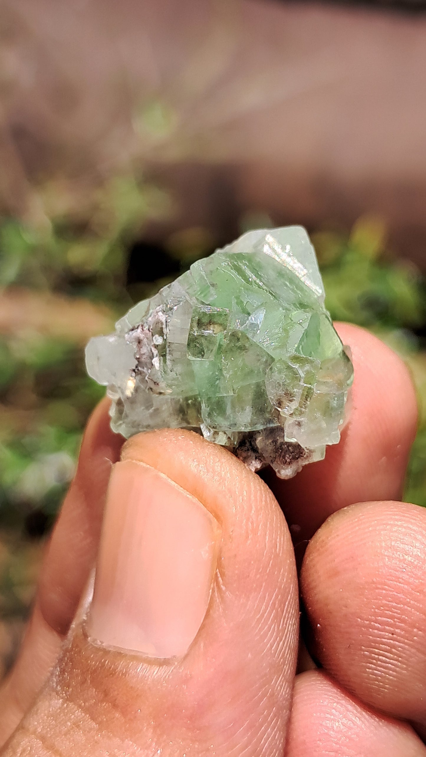 Green Apophyllite Flower (Fluorapophyllite) (Ajanta) Natural Crystal | Mineral Specimen #GA32