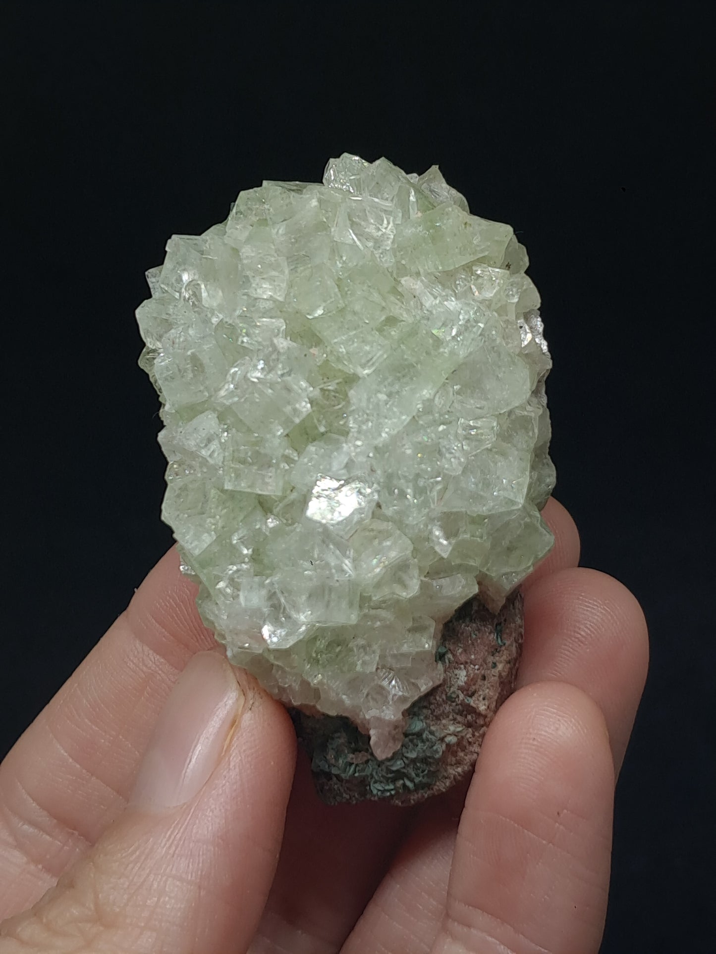 Green Apophyllite Cluster (Fluorapophyllite) (Ajanta) Rough Natural Crystal | Mineral Specimens #GA59