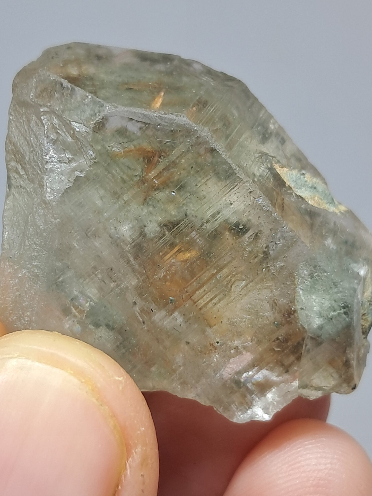 Quartz w/ Chlorite and Golden Rutile Inclusions (Kullu) Rough Stone | Natural Crystal Point | Mineral Specimen #CH44