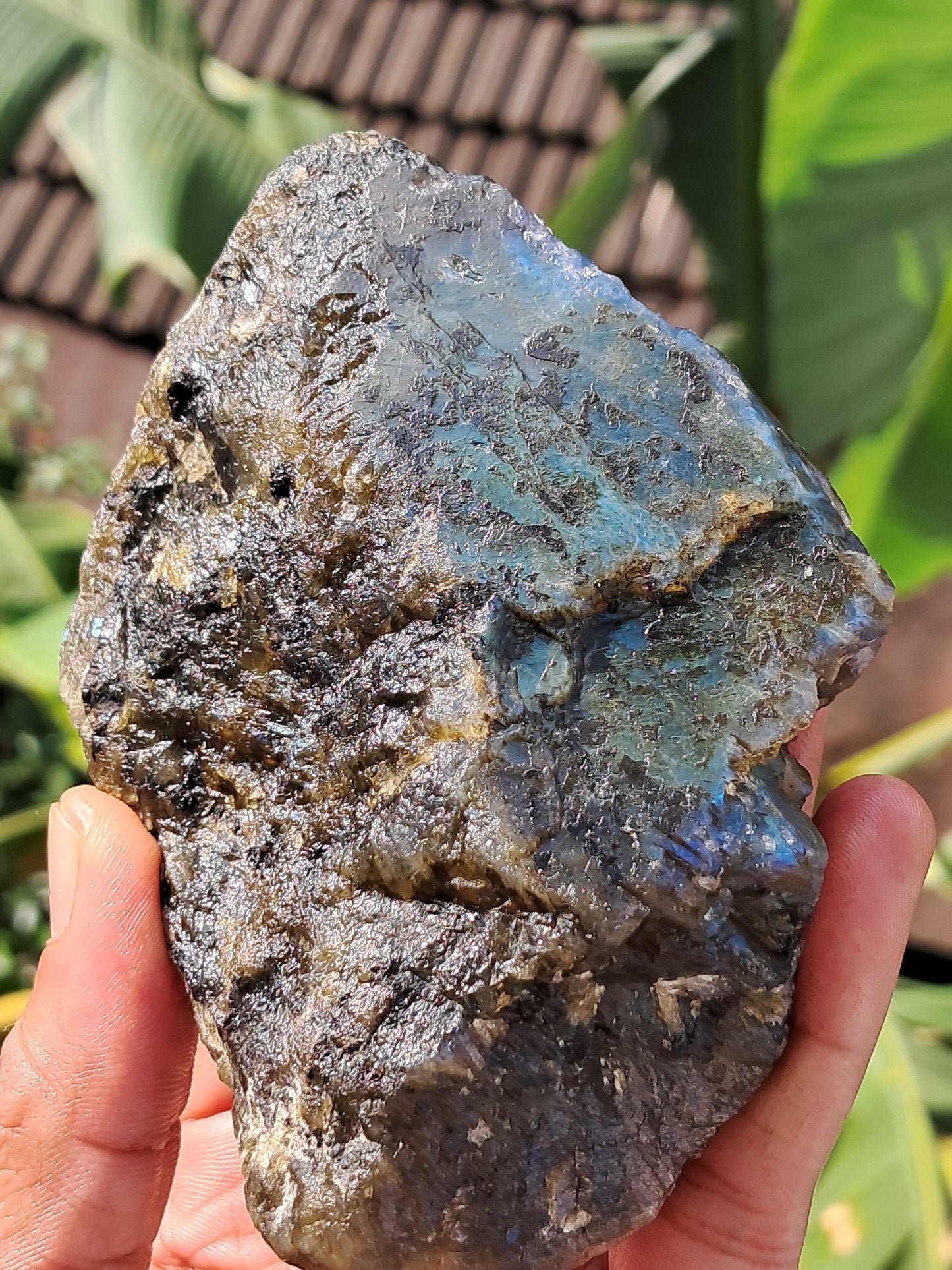 Labradorite Raw (Madagascar) | Strong Flash #LB5