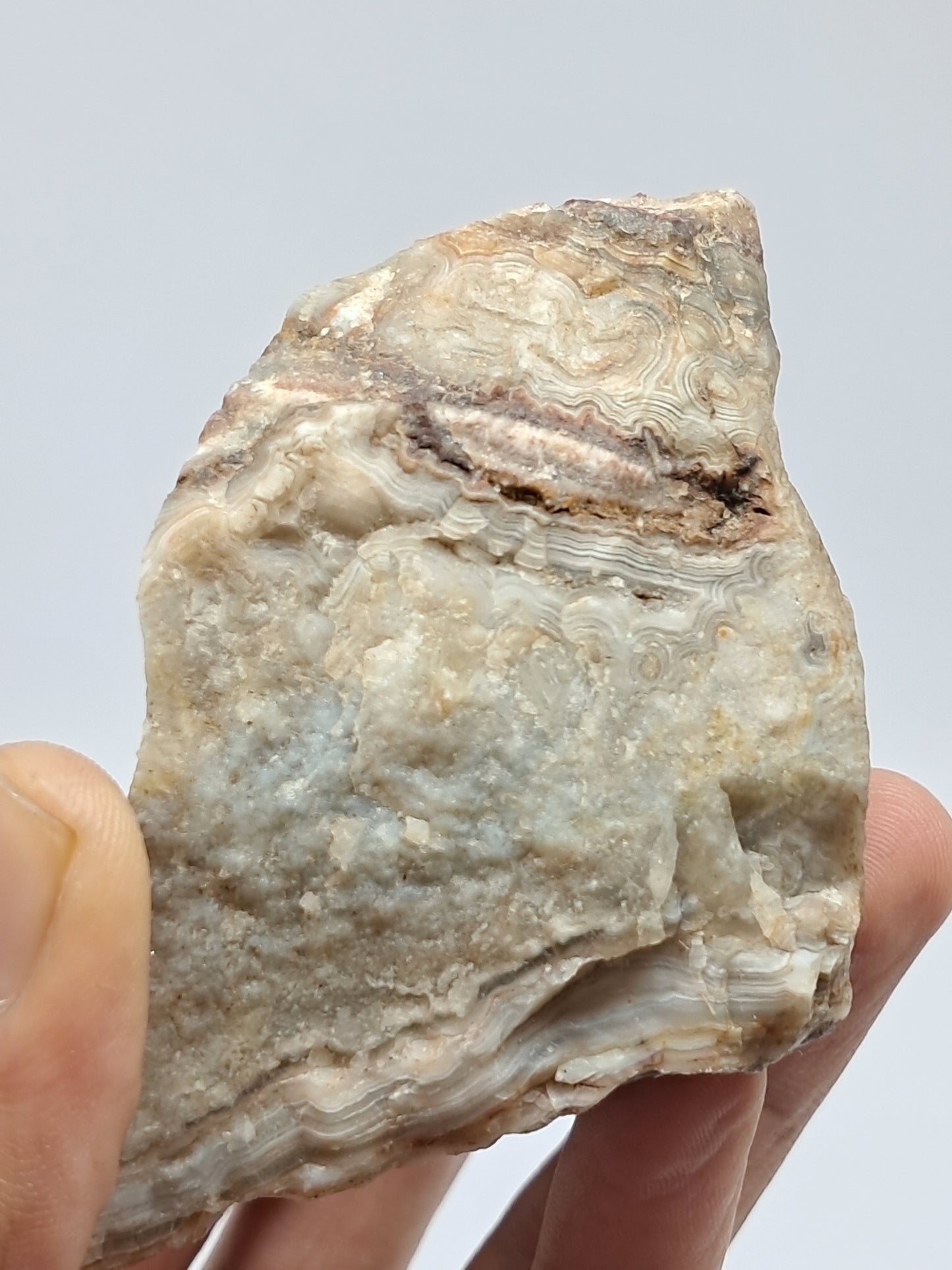 Crazy Lace Agate Rough | Natural Stone | Mineral Specimen #CLA2