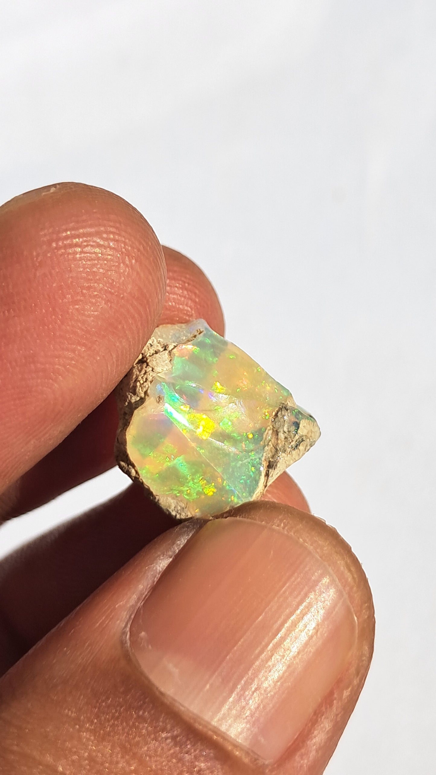 Natural Ethiopian Opal Rough | White Hydrophane Opal with Bright Play of Color #OP13