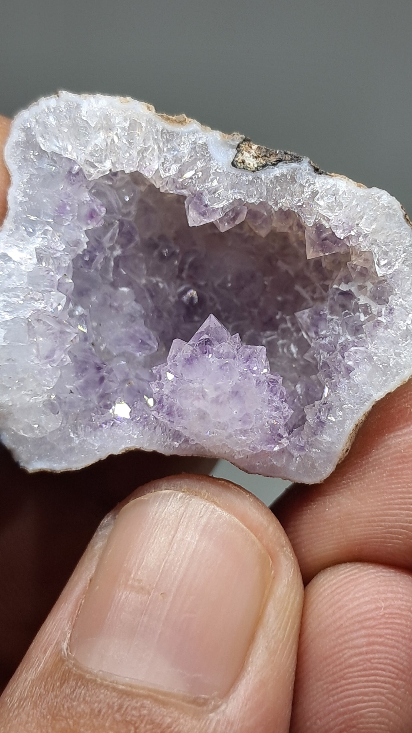 Geoda de amatista (Ajanta) | Cavidad profunda | Cristal natural | Piedra en bruto #GD29