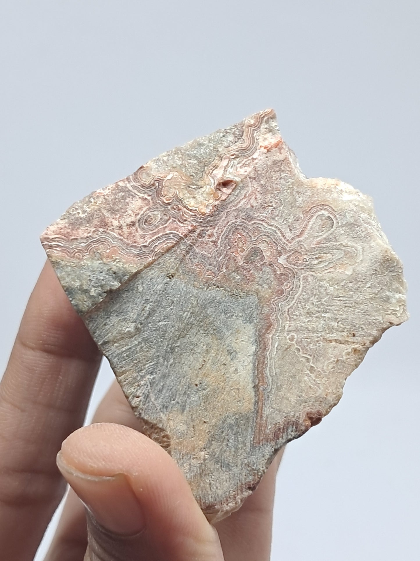 Crazy Lace Agate Rough | Natural Stone | Mineral Specimen #CLA3