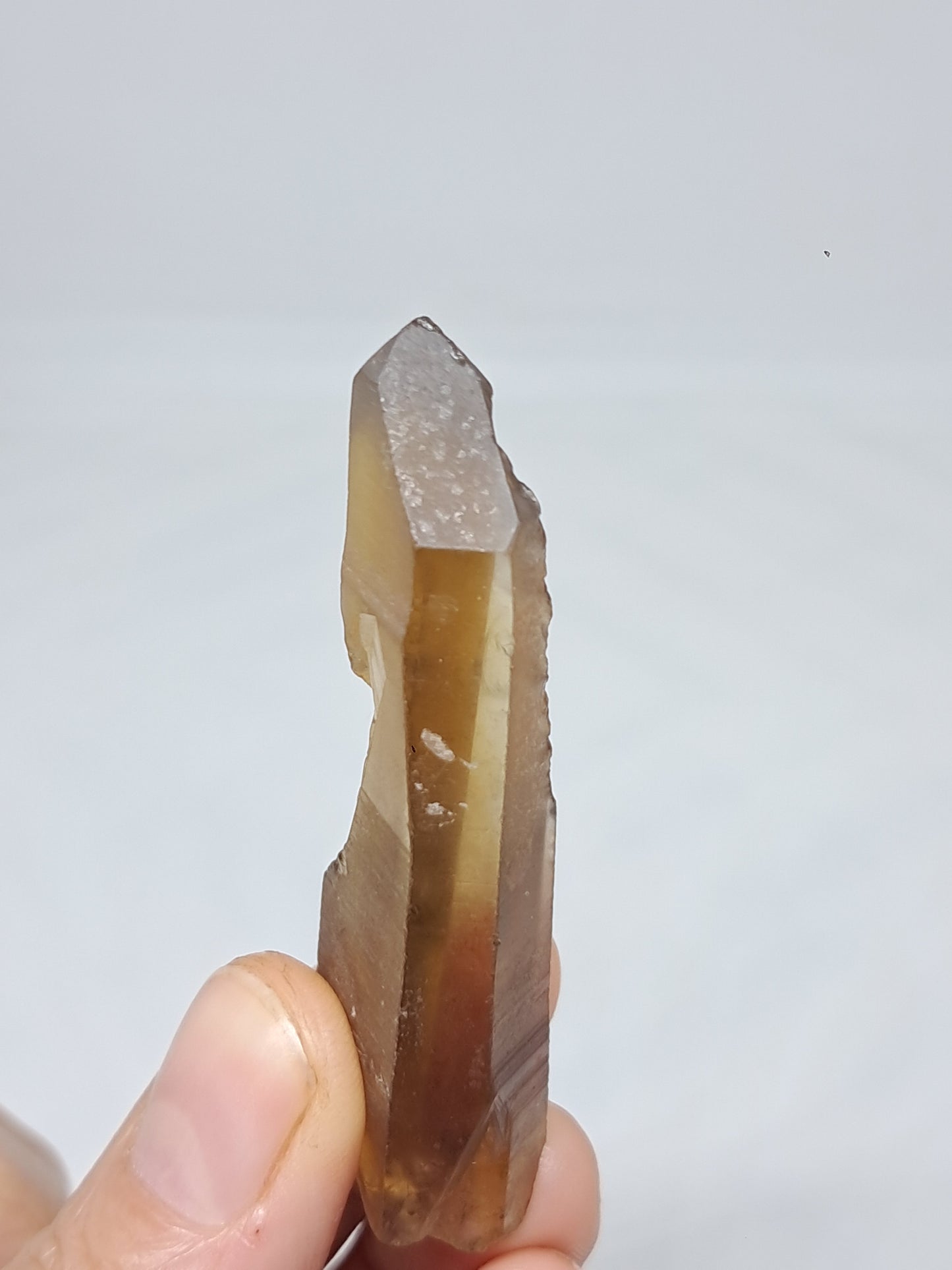 Natural Citrine Crystal (Democratic Republic of Congo) #CTN29