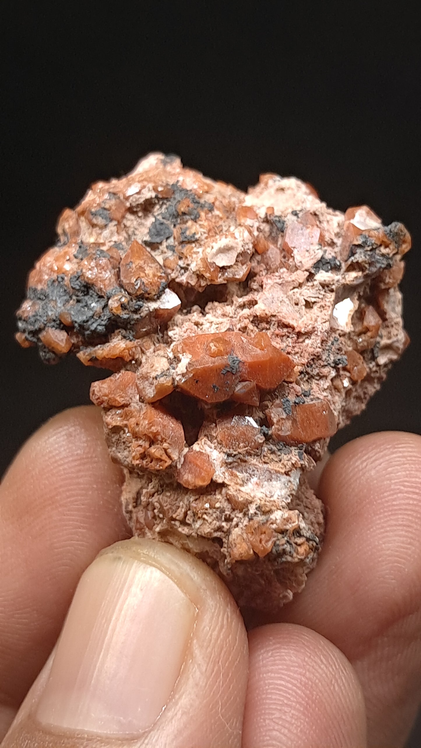 Jacinto de Compostela Quartz Cluster On Matrix | Natural Crystal | Mineral Specimen #JCQ7
