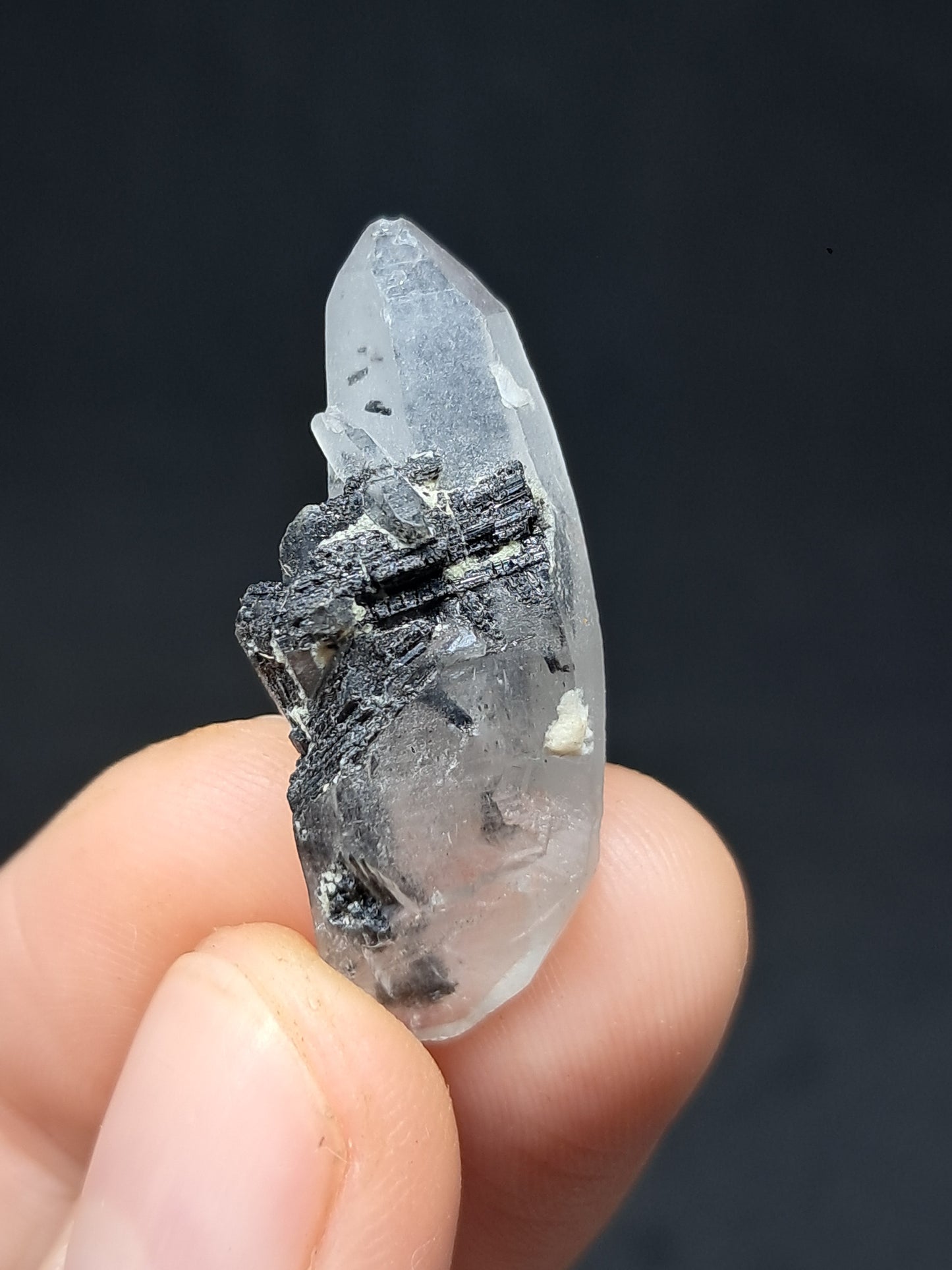 Punta de cuarzo turmalinado (Karur) Cristal natural | Espécimen mineral #TQ35