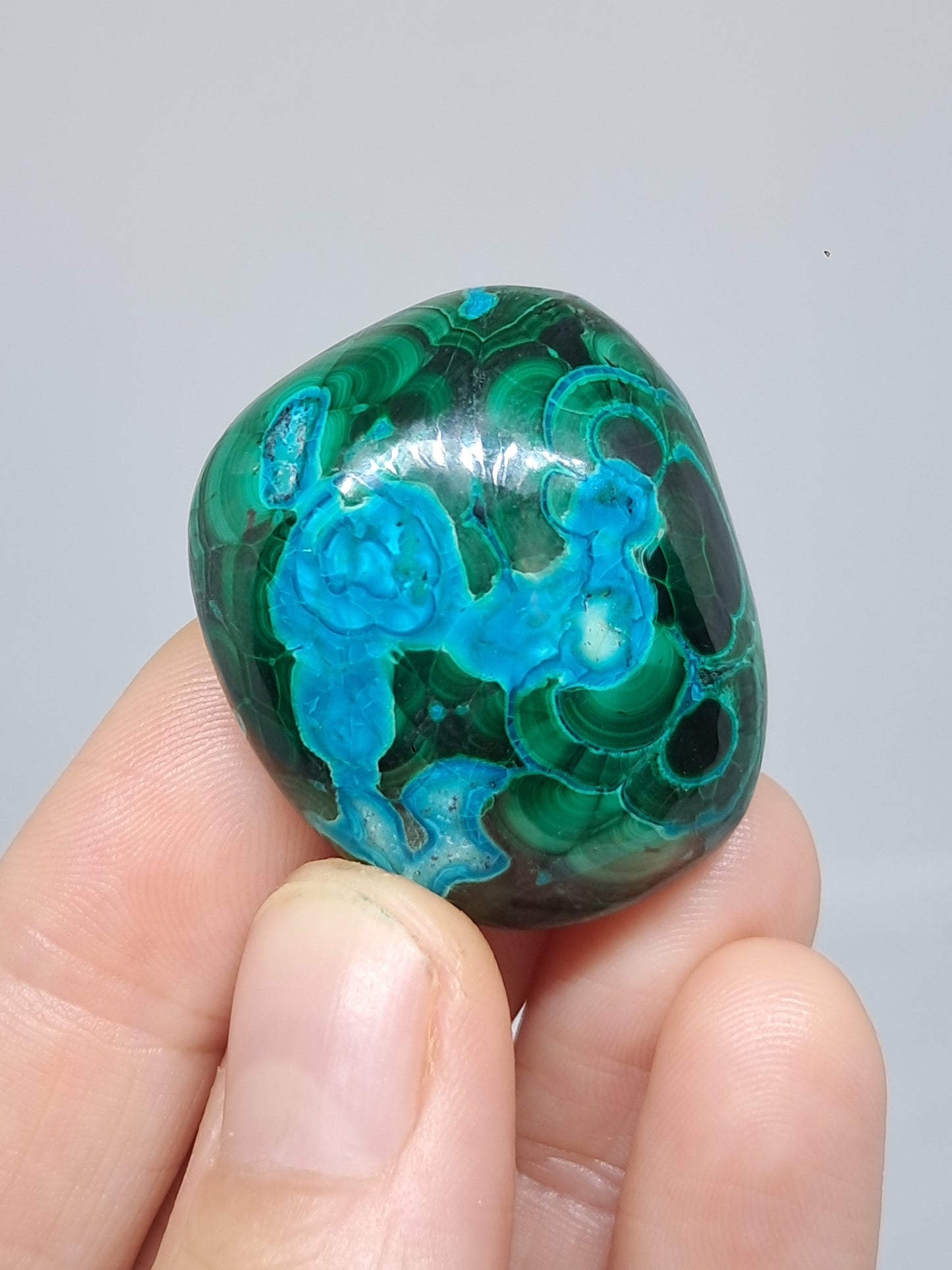 Chrysocolla Malachite Free Form | Polished Natural Stone | Good Quality #CM26