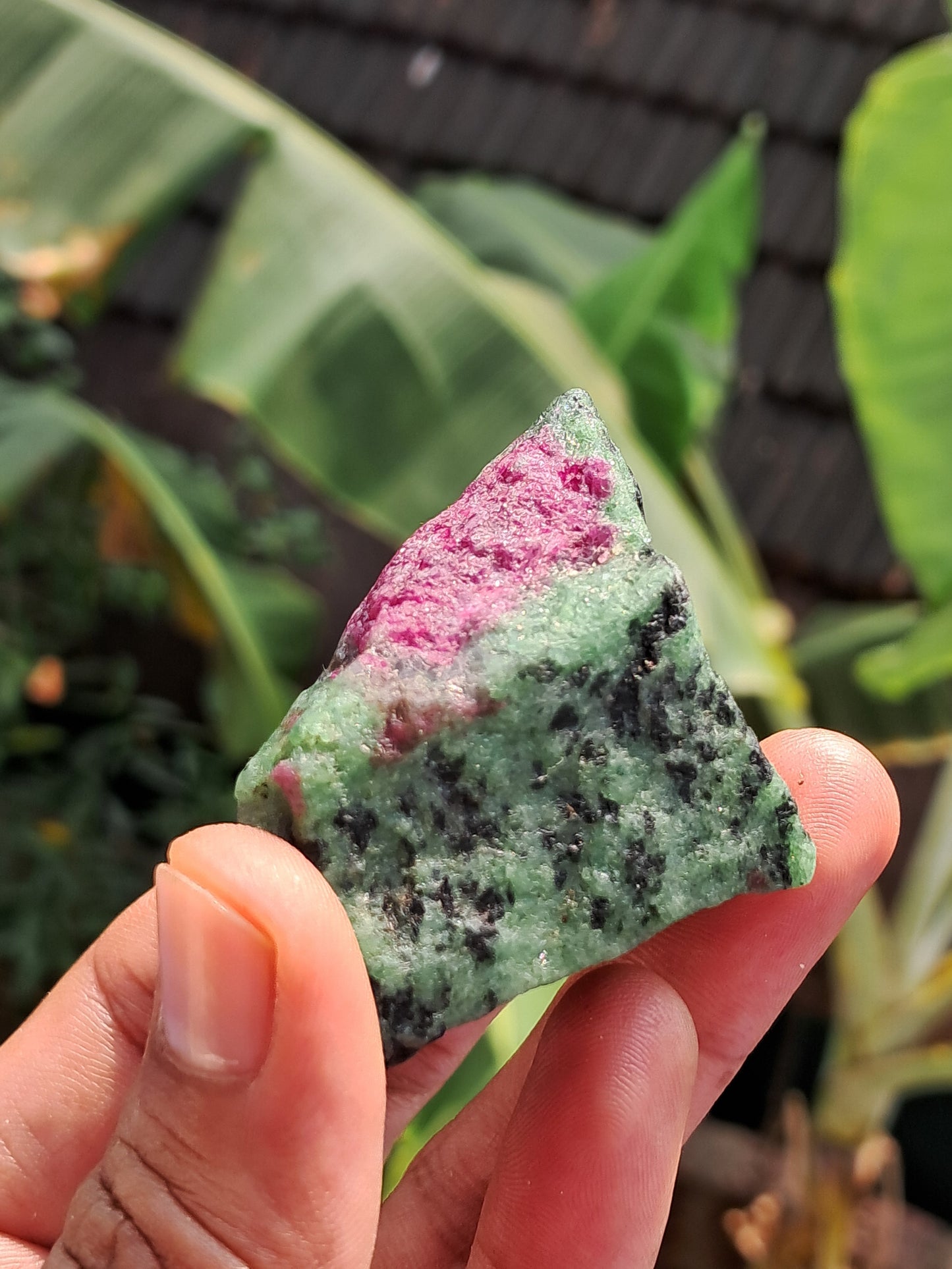 Ruby Zoisite w/ Hornblende (Tanzania) Rough Stone | Natural Specimen #RZ8