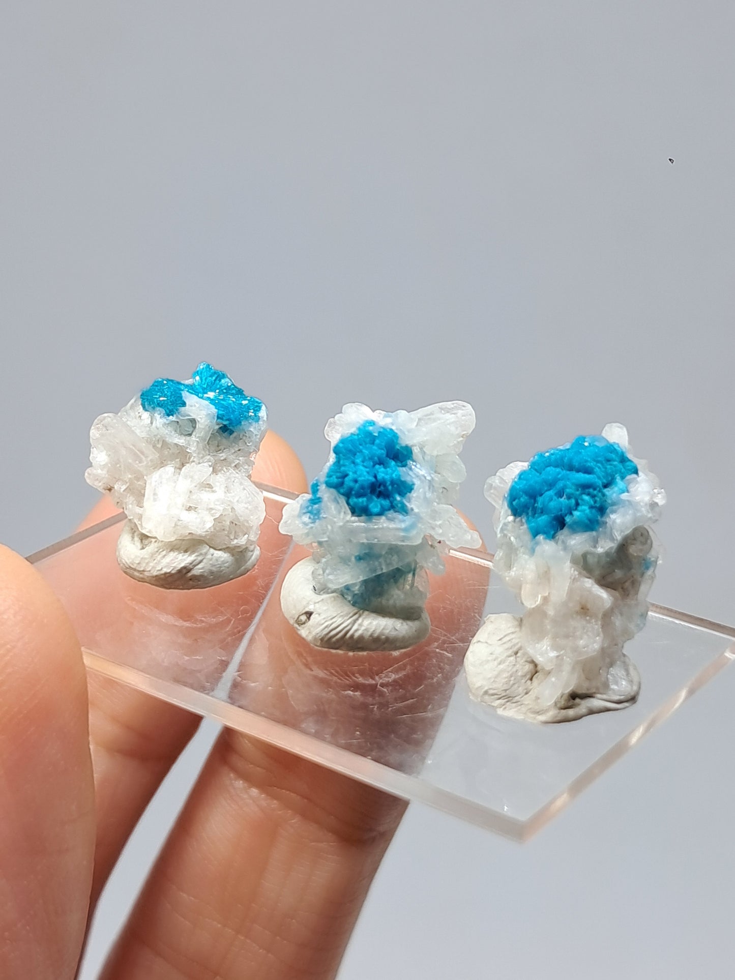 Set of 3 Small Cavansites on Stilbite Matrix (Wagholi) Rough Stone | Natural Crystal | Rare Mineral Specimen #CV39