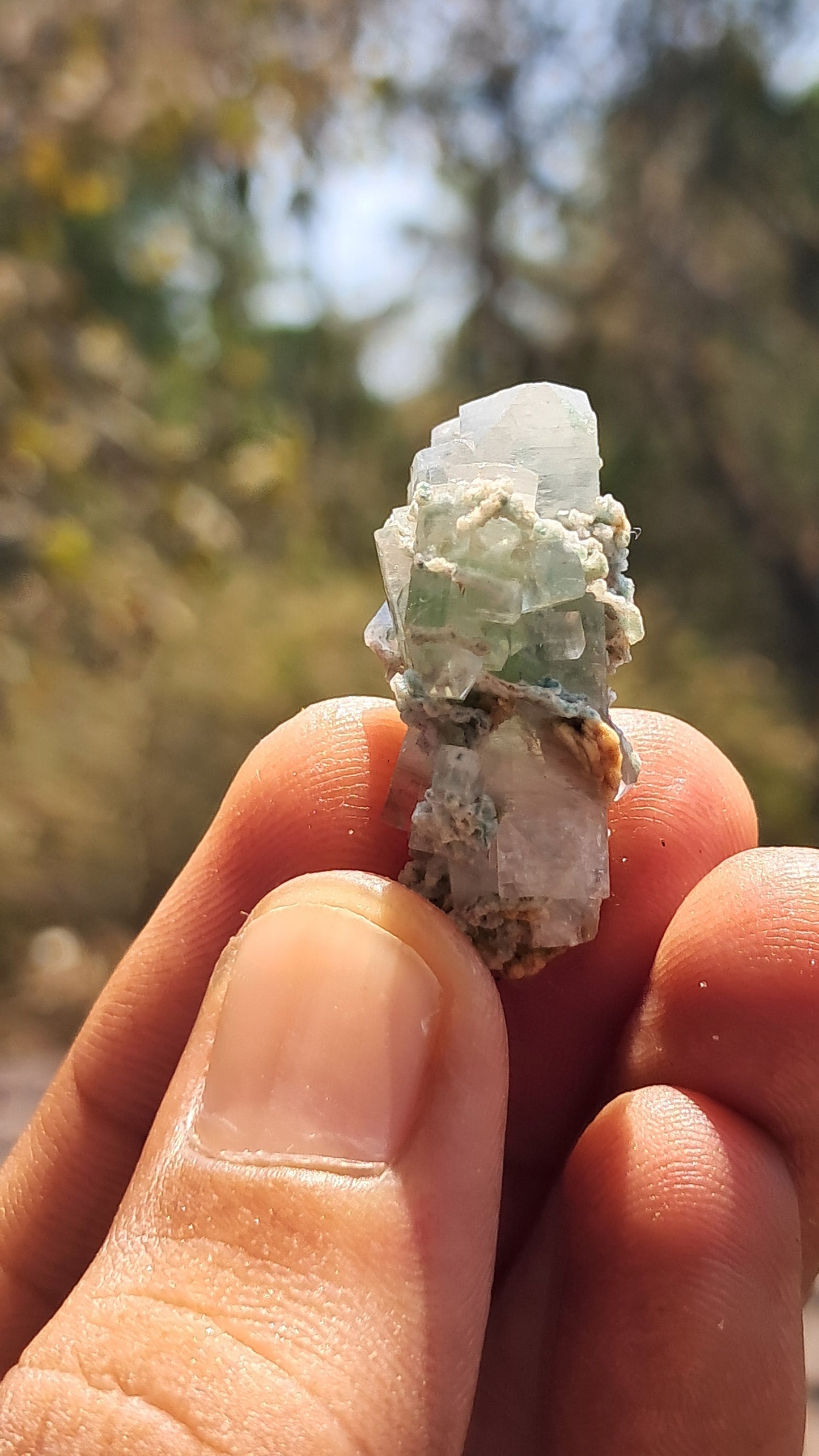 Green Apophyllite (Fluorapophyllite) (Ajanta) Natural Crystal | Mineral Specimen #GA25