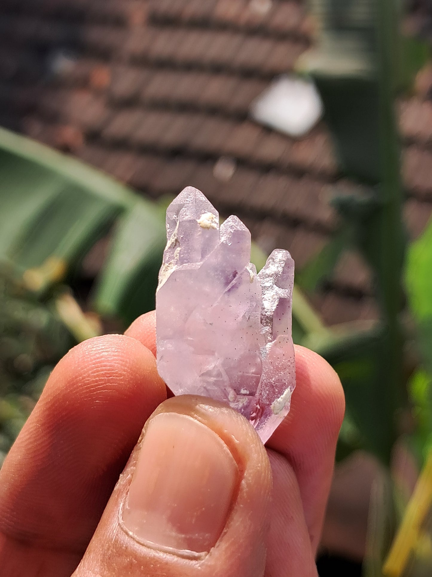 Amethyst Scepter cluster from Karur | Natural Crystal | Mineral Specimen #KA176
