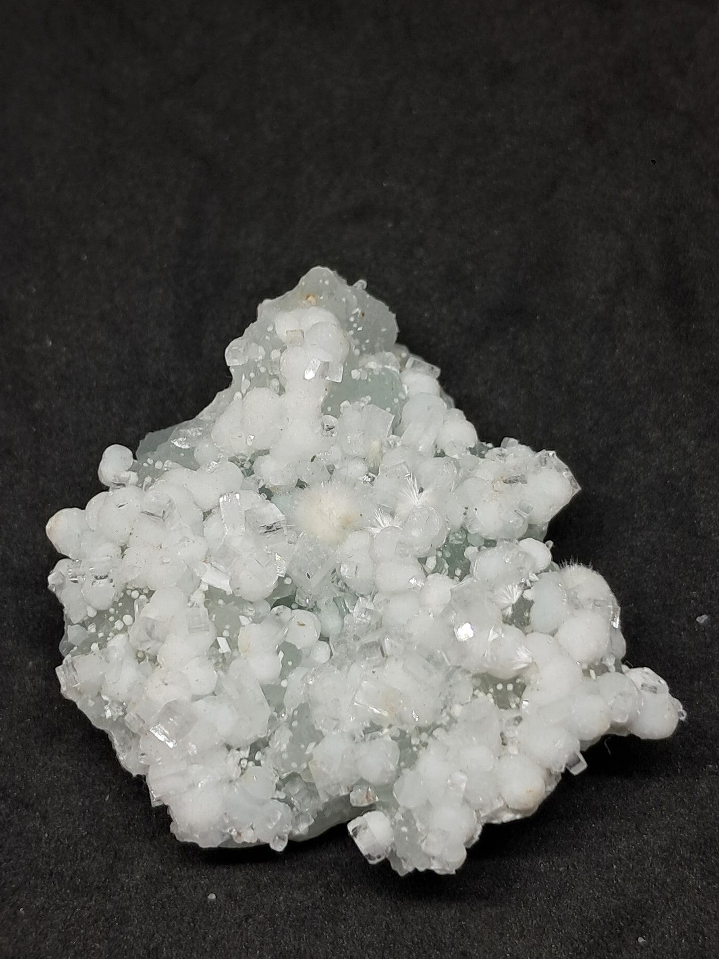 Okenite w/ Gyrolite and Apophyllite on Prehenite Matrix (Mumbai) Mineral Specimen | Collector Grade | Natural Crystal #OK23