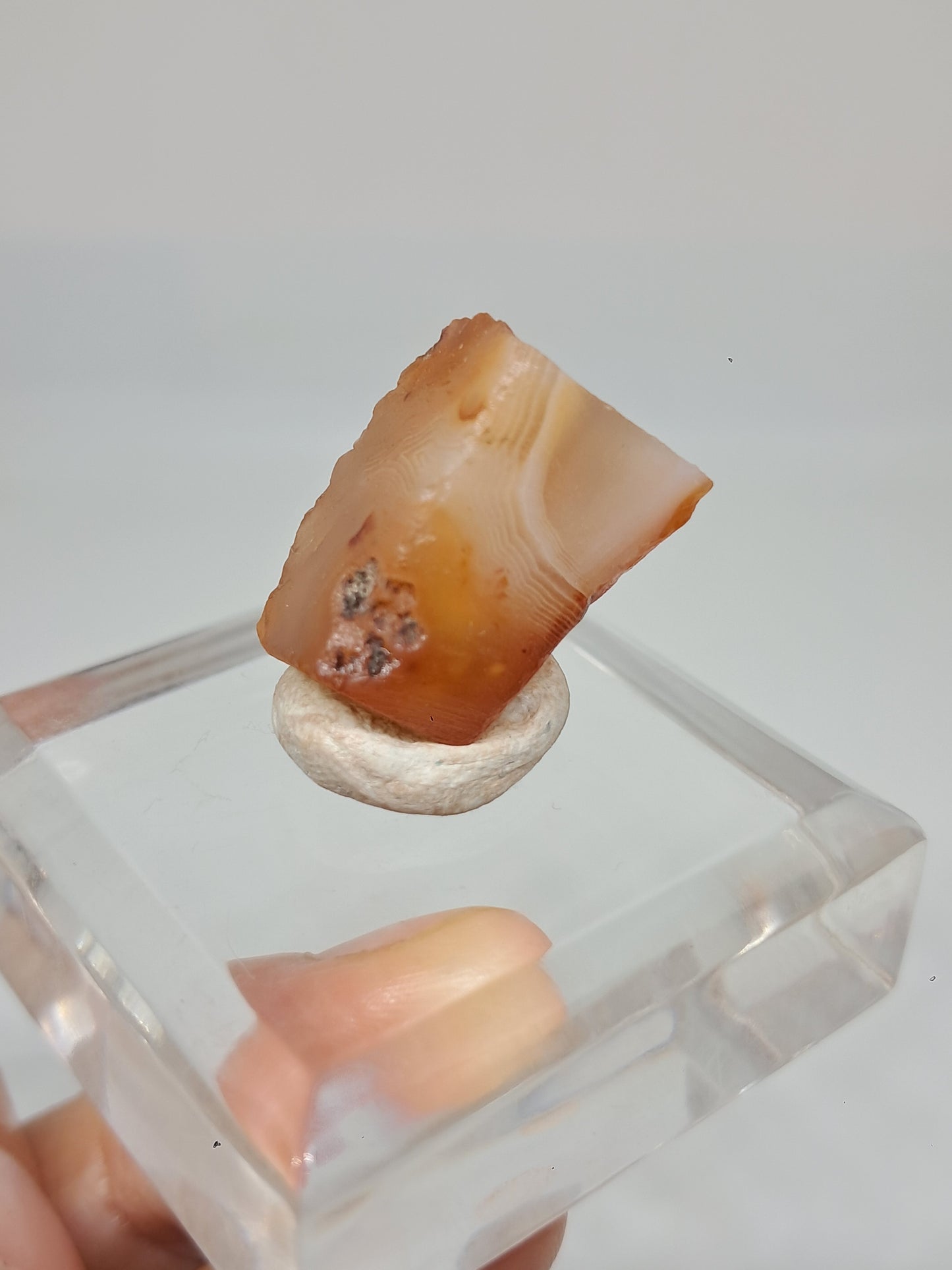 Set of 7 Small Rough Stones | Raw Crystals #RCS24