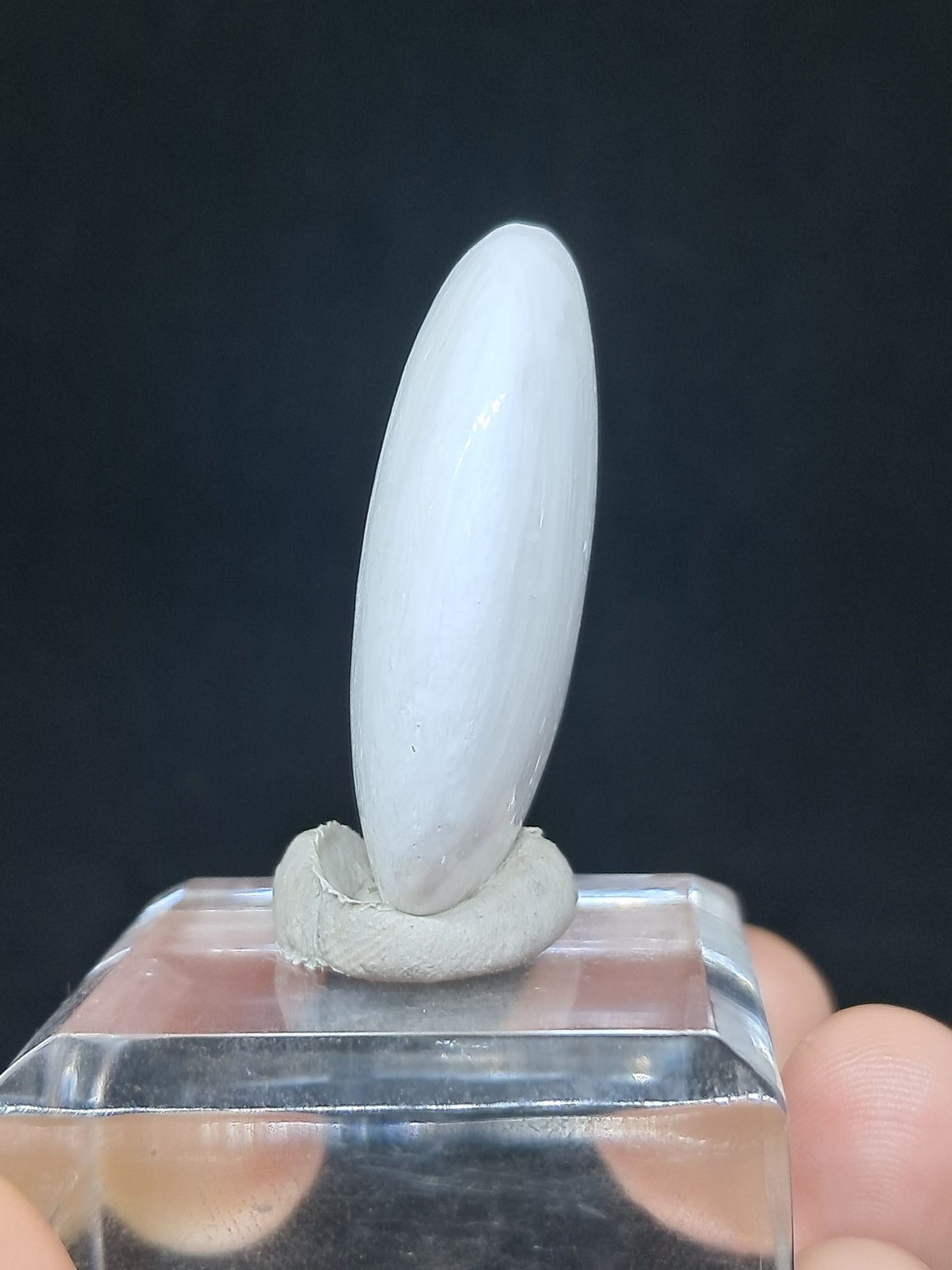 Scolecite Palmstone | Polished Natural Stone | Good Quality #SCL3