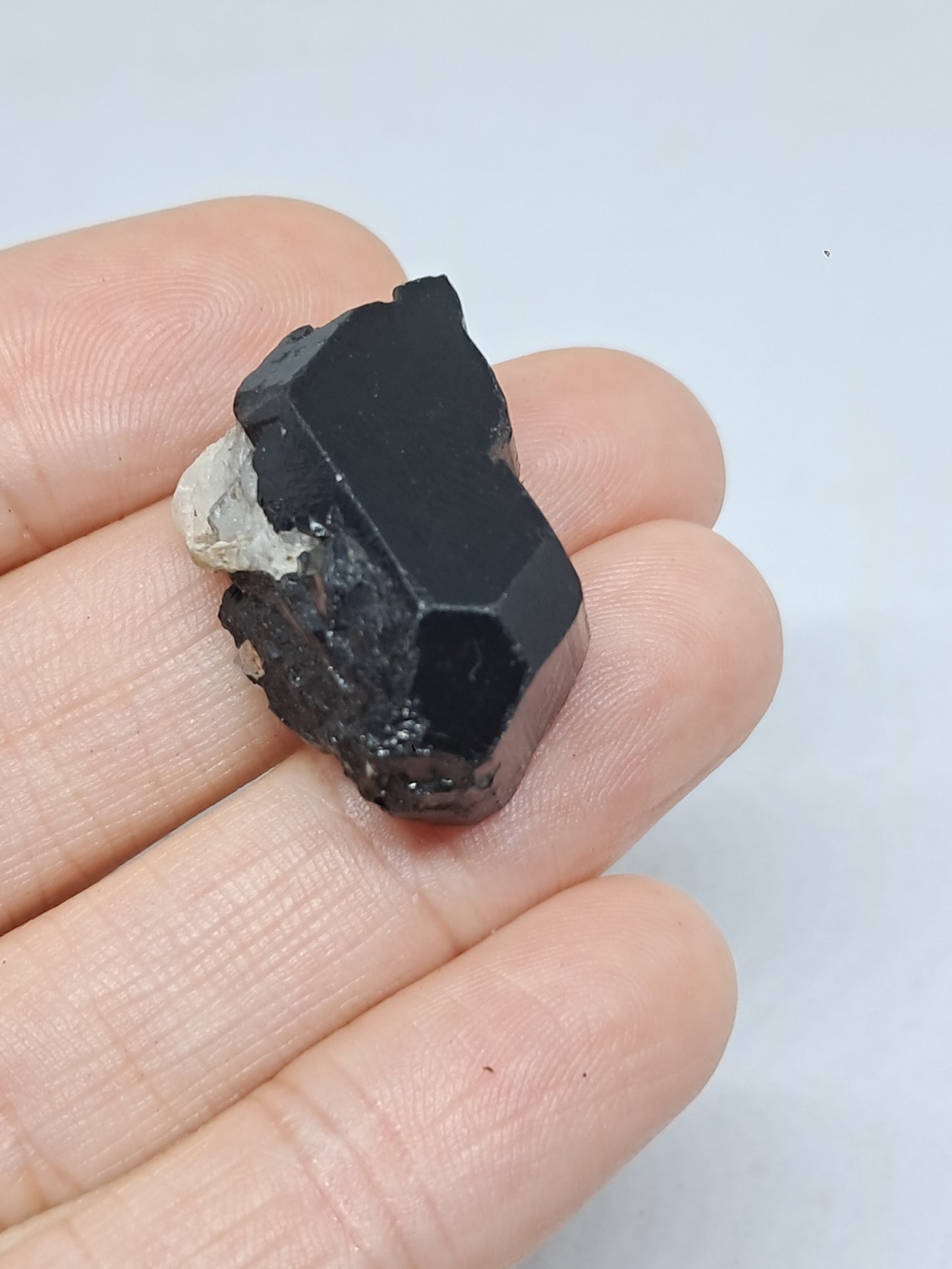 Black Tourmaline Crystal (Karnataka) Naturally Terminated | Natural Stone | Mineral Specimen #BT7