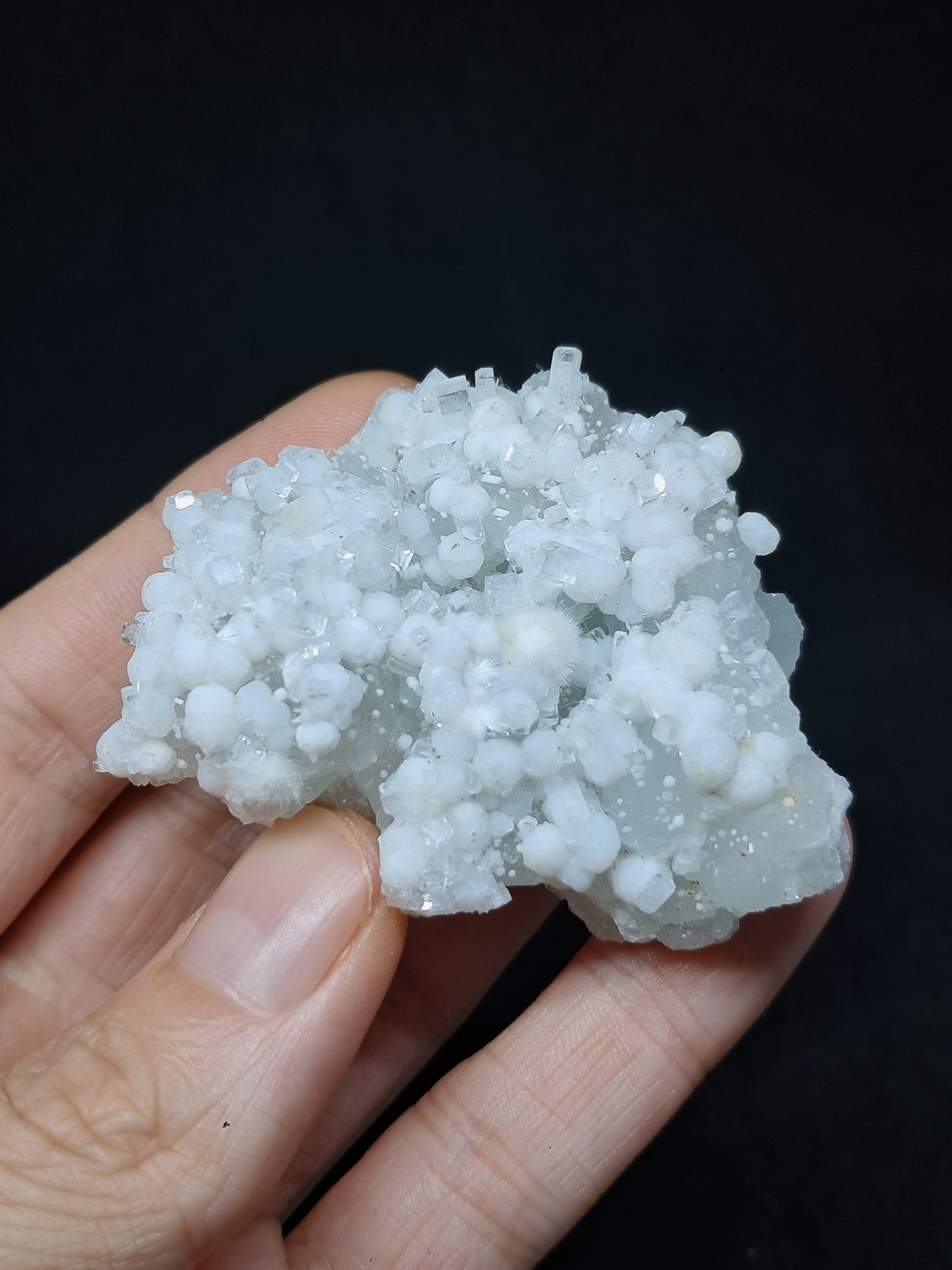 Okenite w/ Gyrolite and Apophyllite on Prehenite Matrix (Mumbai) Mineral Specimen | Collector Grade | Natural Crystal #OK23