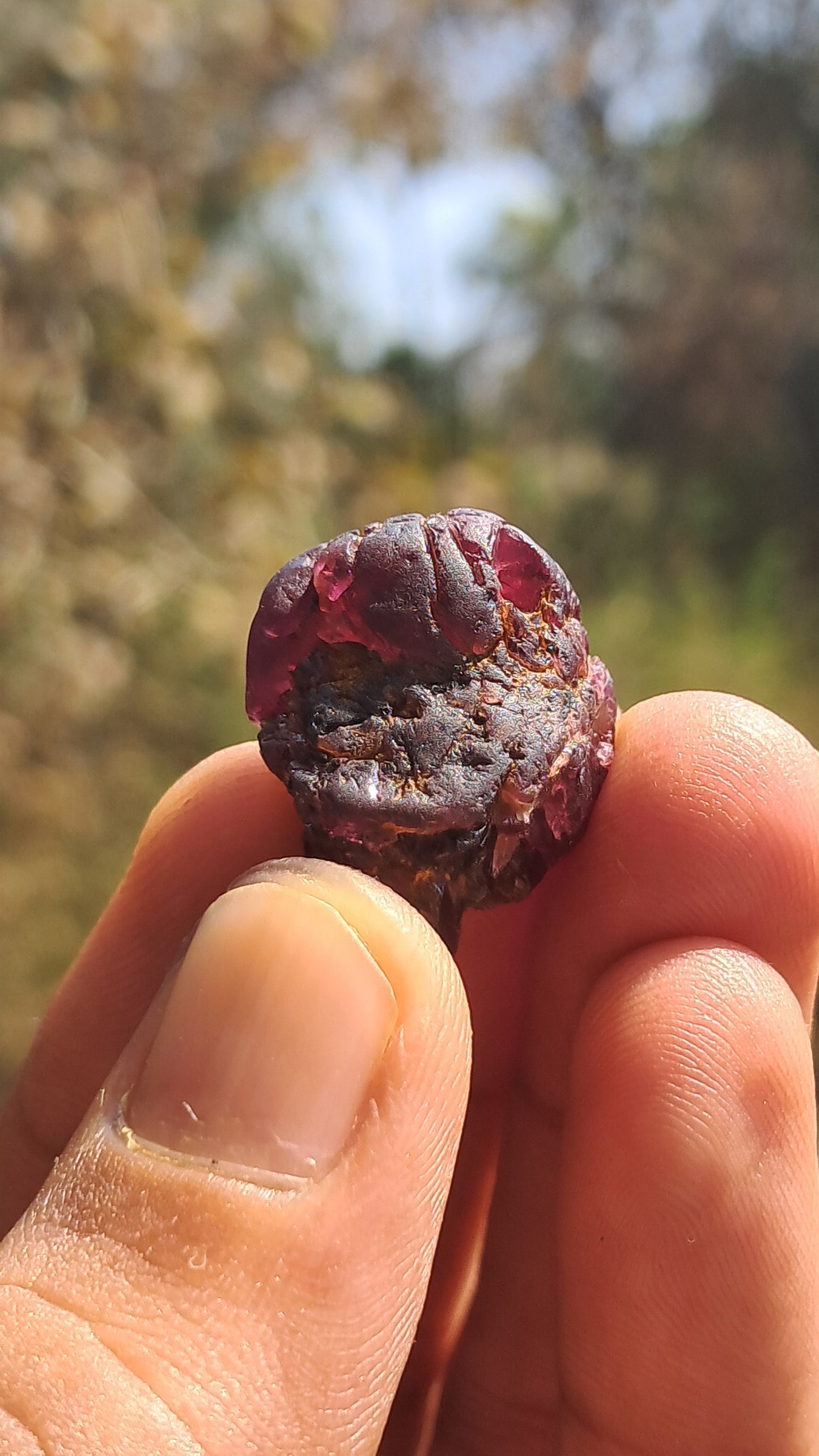 Granate rojo (Karur) | Pulido por el río | Piedra natural #RG2