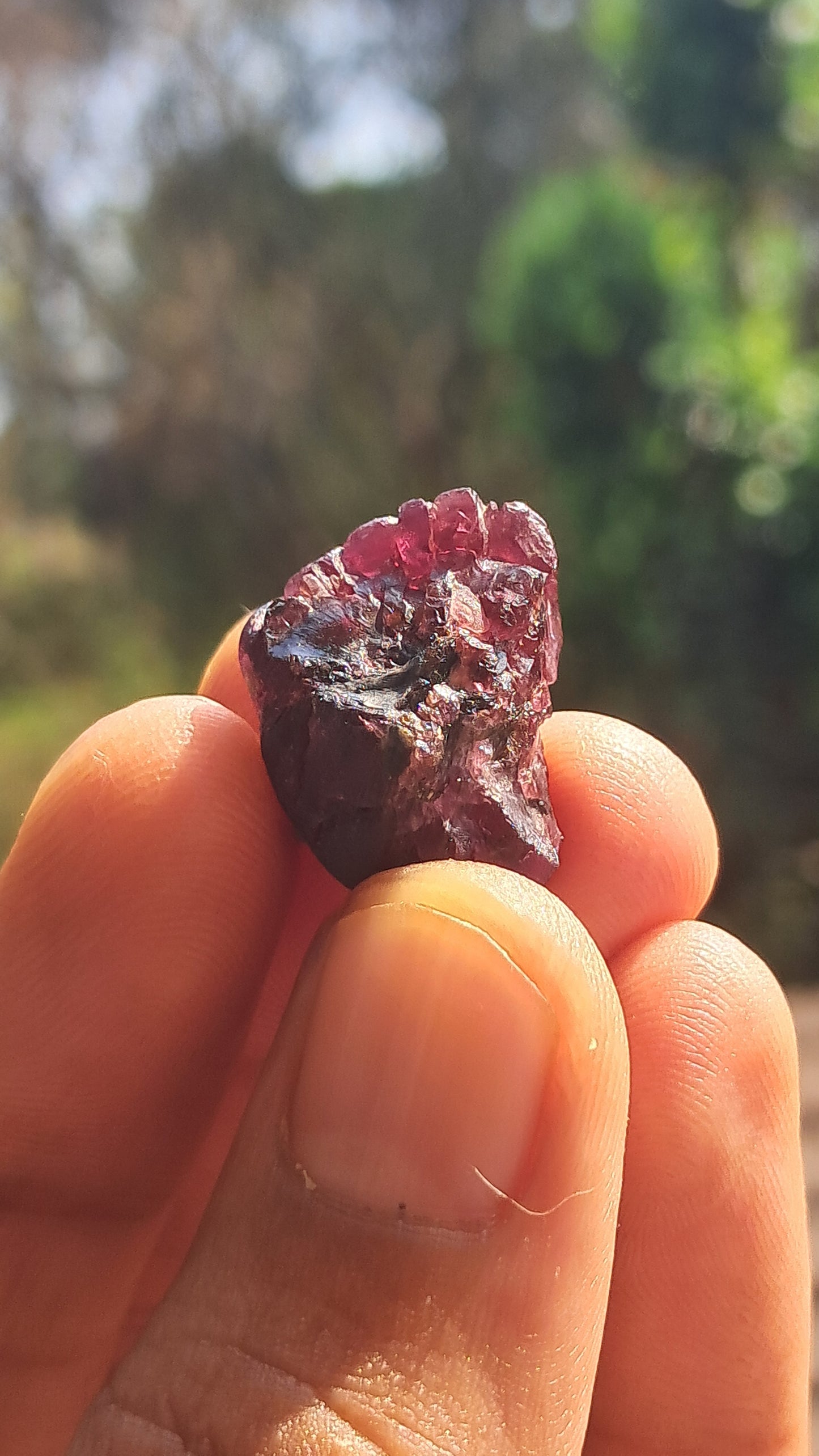 Granate Rojo (Karur) | Pulido por el río | Piedra Natural #RG6