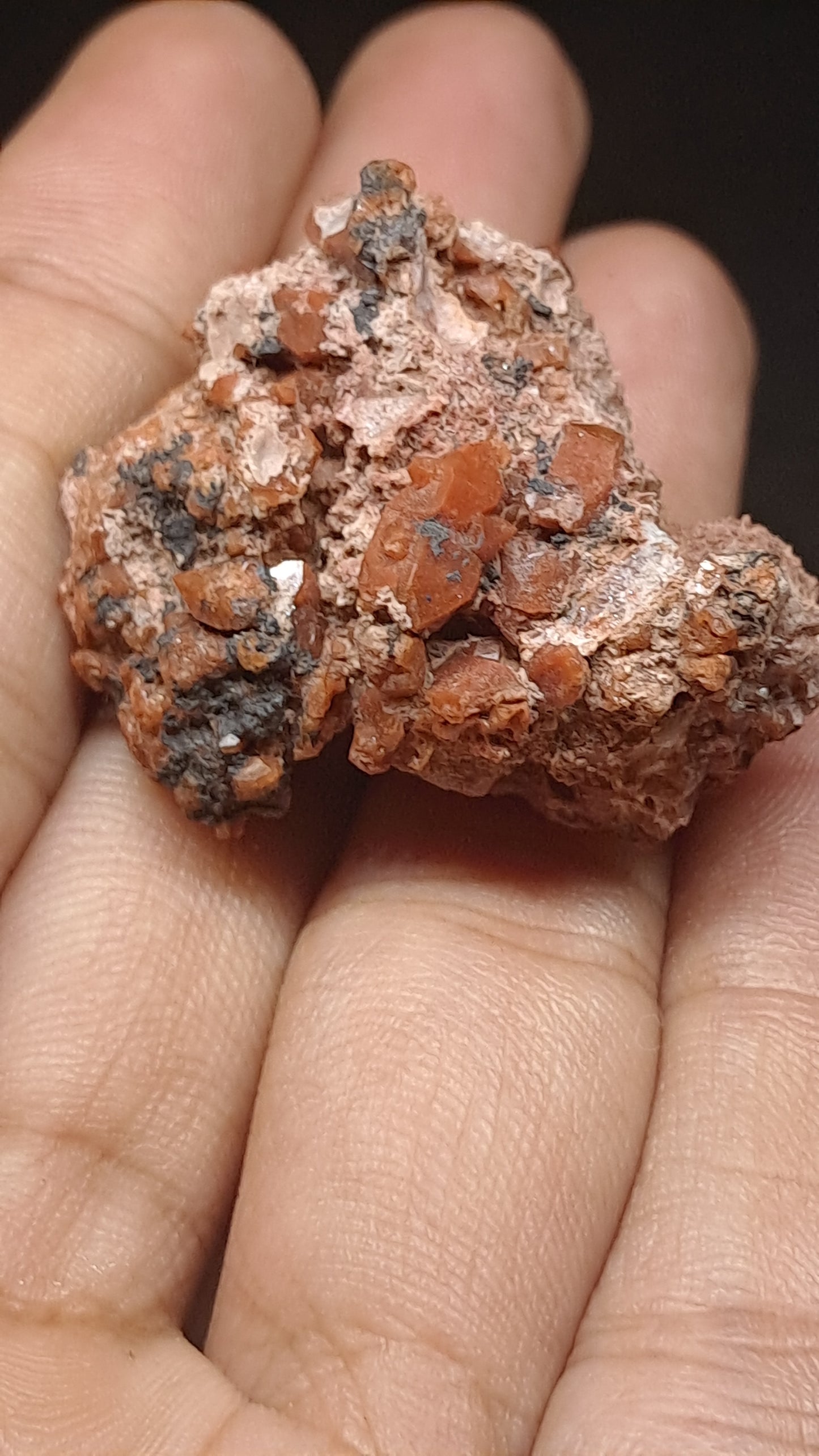 Jacinto de Compostela Quartz Cluster On Matrix | Natural Crystal | Mineral Specimen #JCQ7