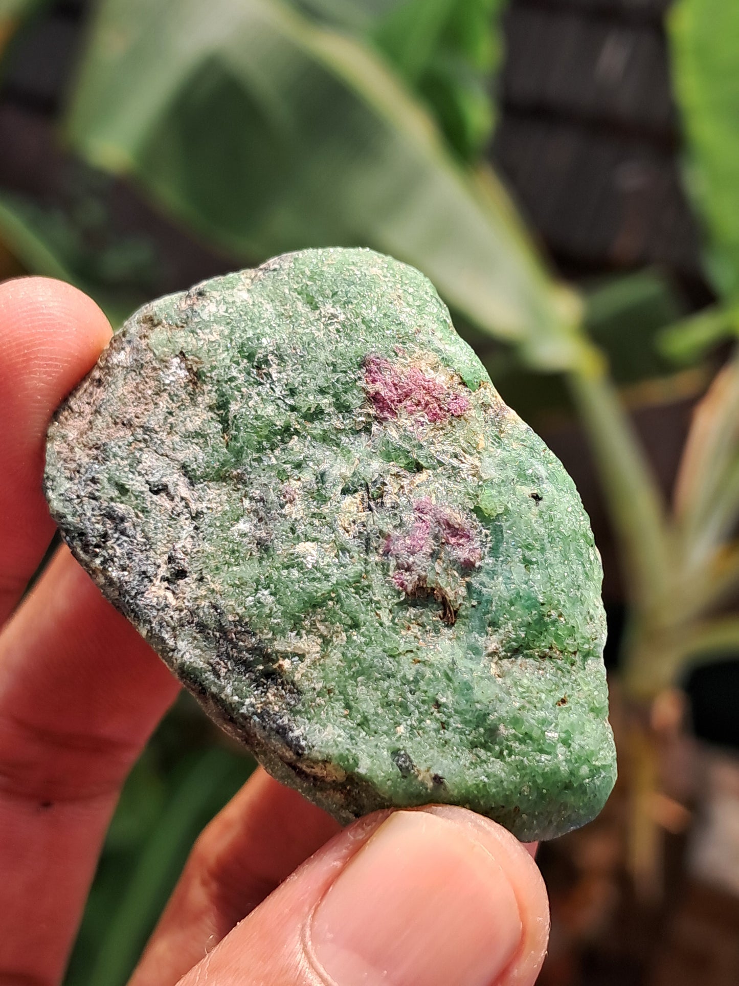 Ruby Zoisite w/ Hornblende (Tanzania) Rough Stone | Natural Specimen #RZ7