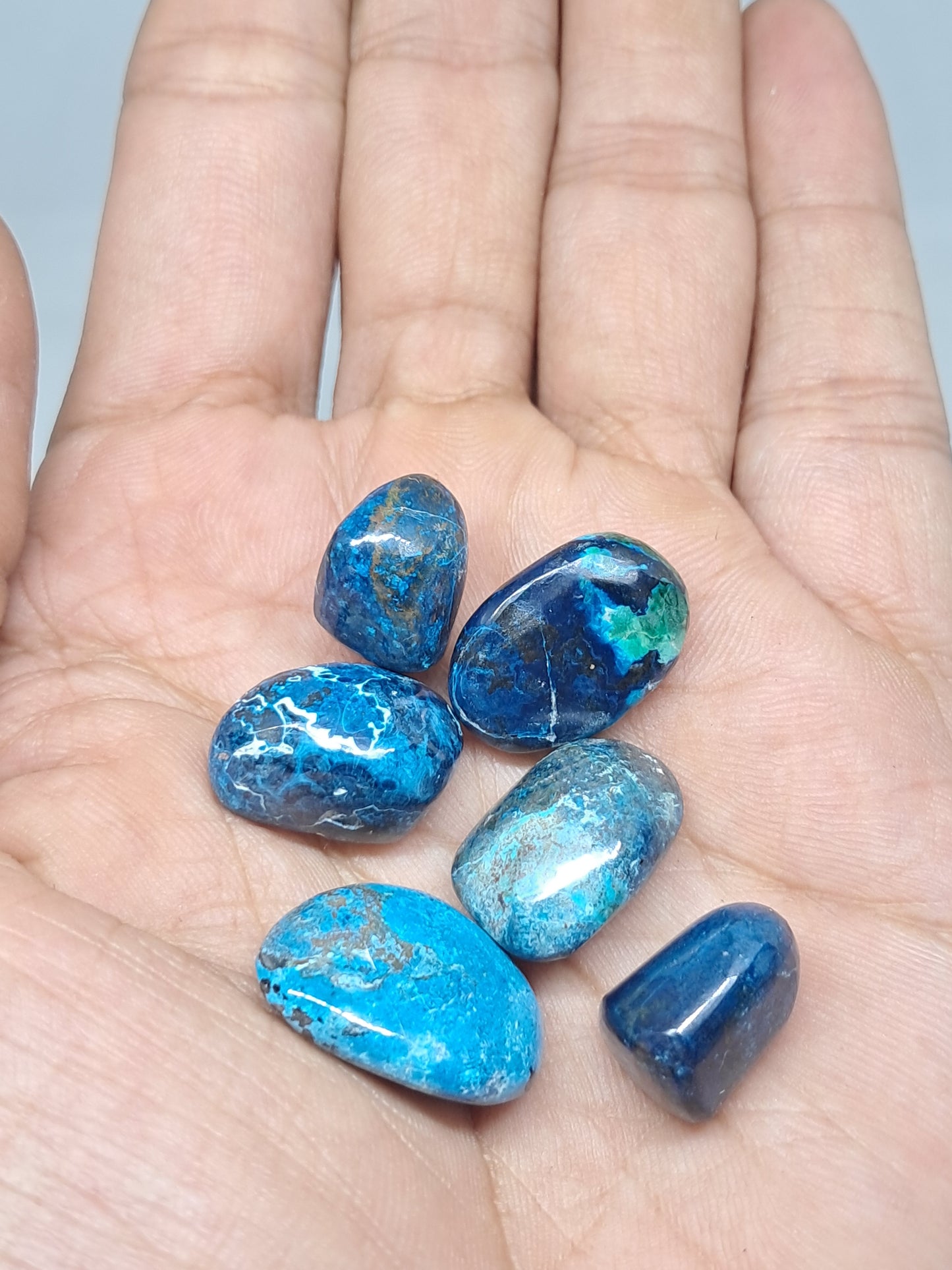 Chrysocolla w/ Azurite, Shattuckite Tumbled | Polished Natural Stone #CM16