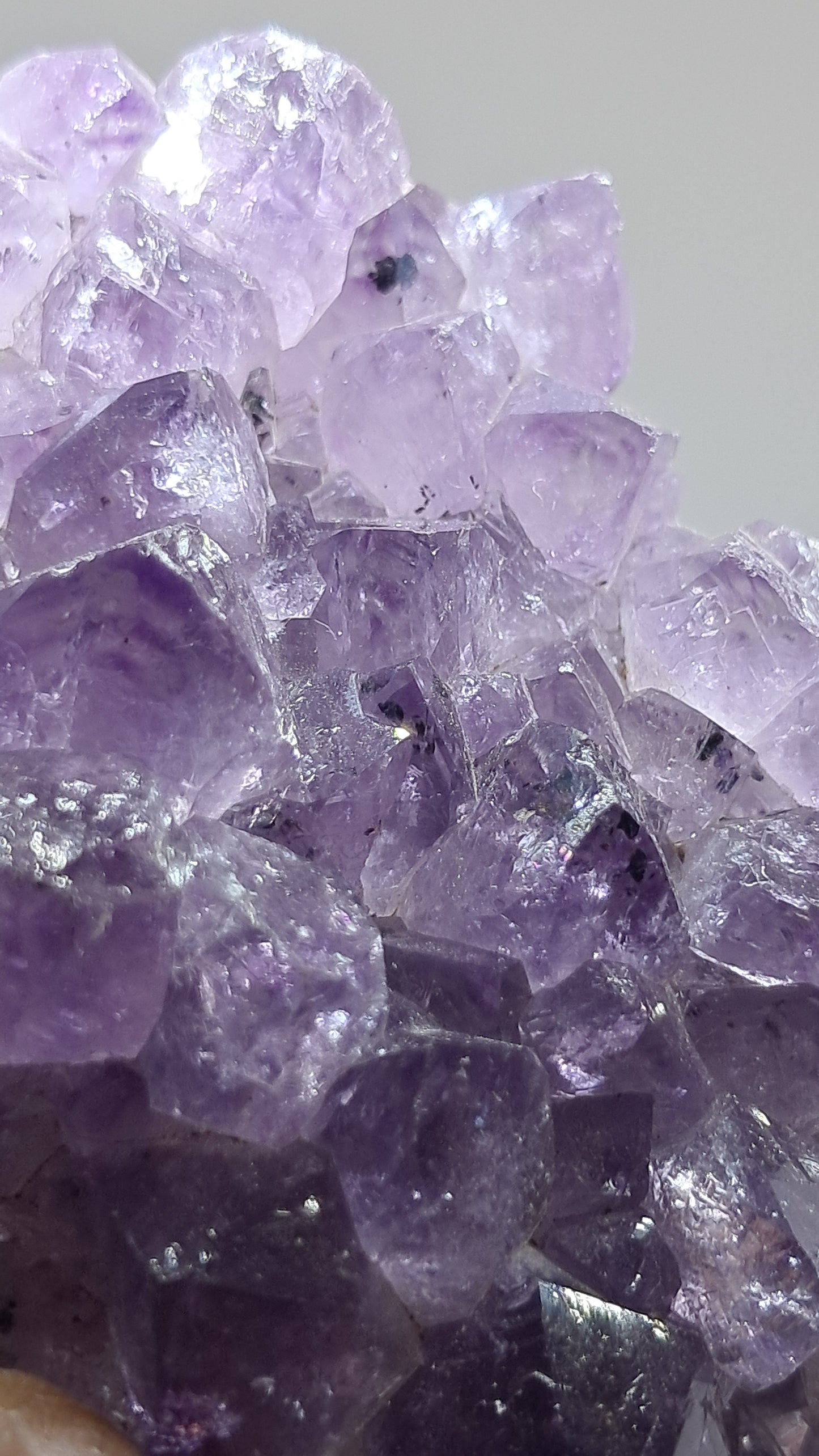 Amatista Morada Intensa (Brasil) | Drusa Natural | Mineral de Colección #AMB9