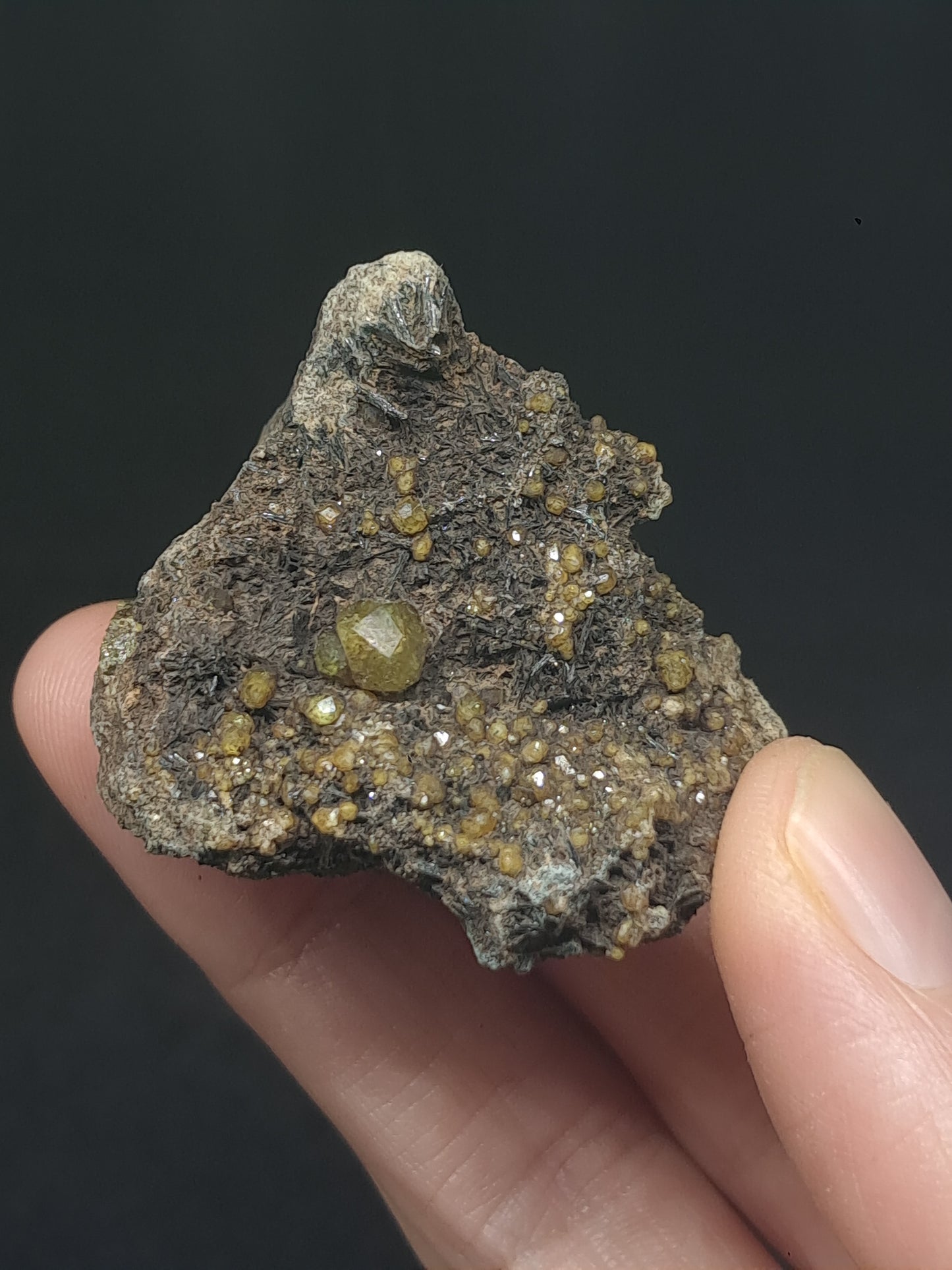 Green Garnet w/ Aegirine (Acmite) on Matrix (Mexico) Andradite Garnet Cluster |Rough Crystal Stone | Mineral Specimen #GR28