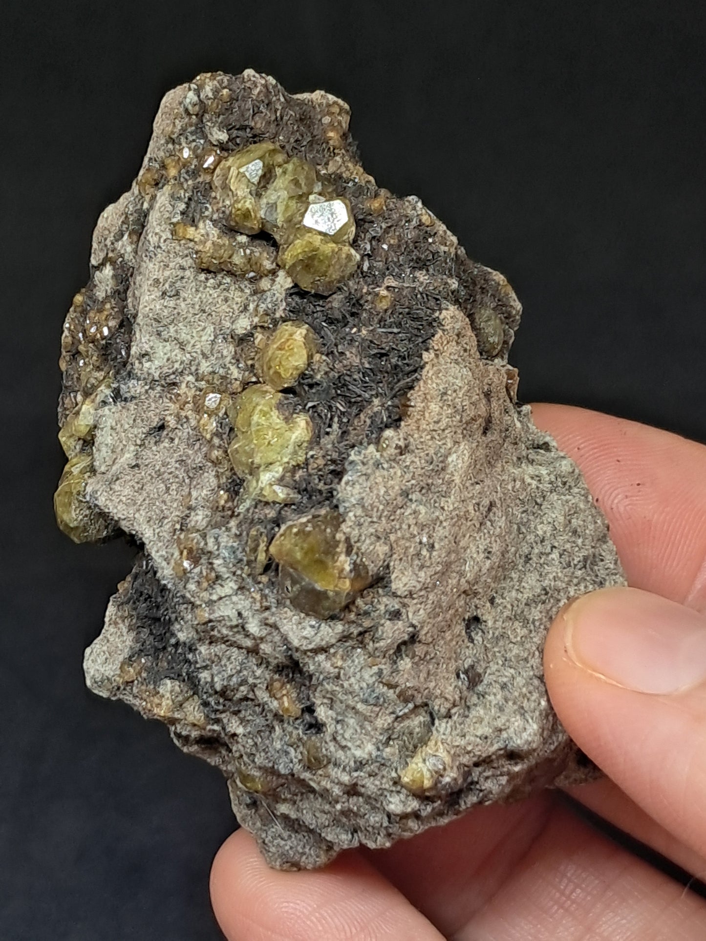 Green Garnet w/ Aegirine (Acmite) on Matrix (Mexico) Andradite Garnet Cluster |Rough Crystal Stone | Mineral Specimen #GR30
