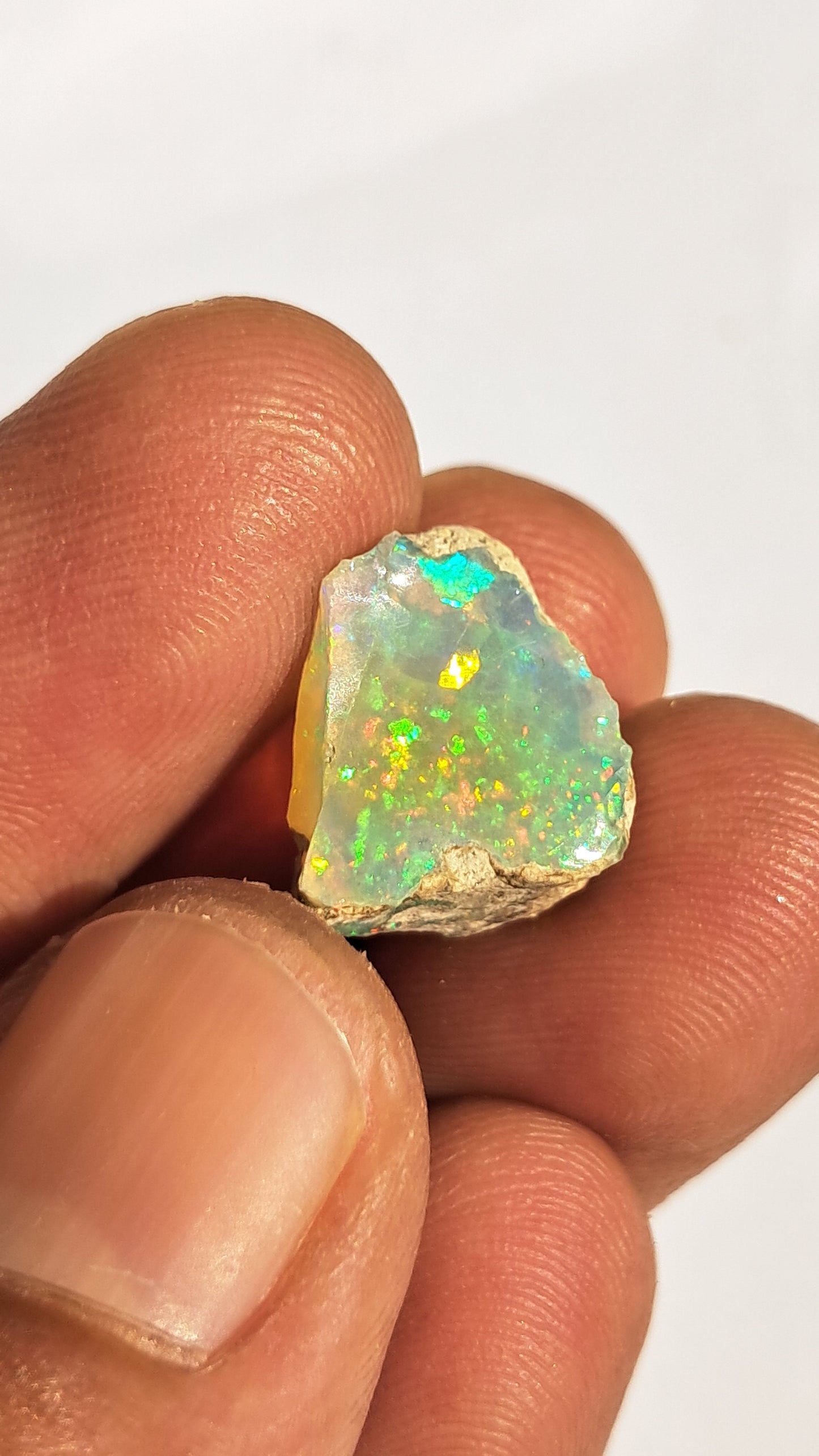 Natural Ethiopian Opal Rough | White Hydrophane Opal with Bright Play of Color #OP13