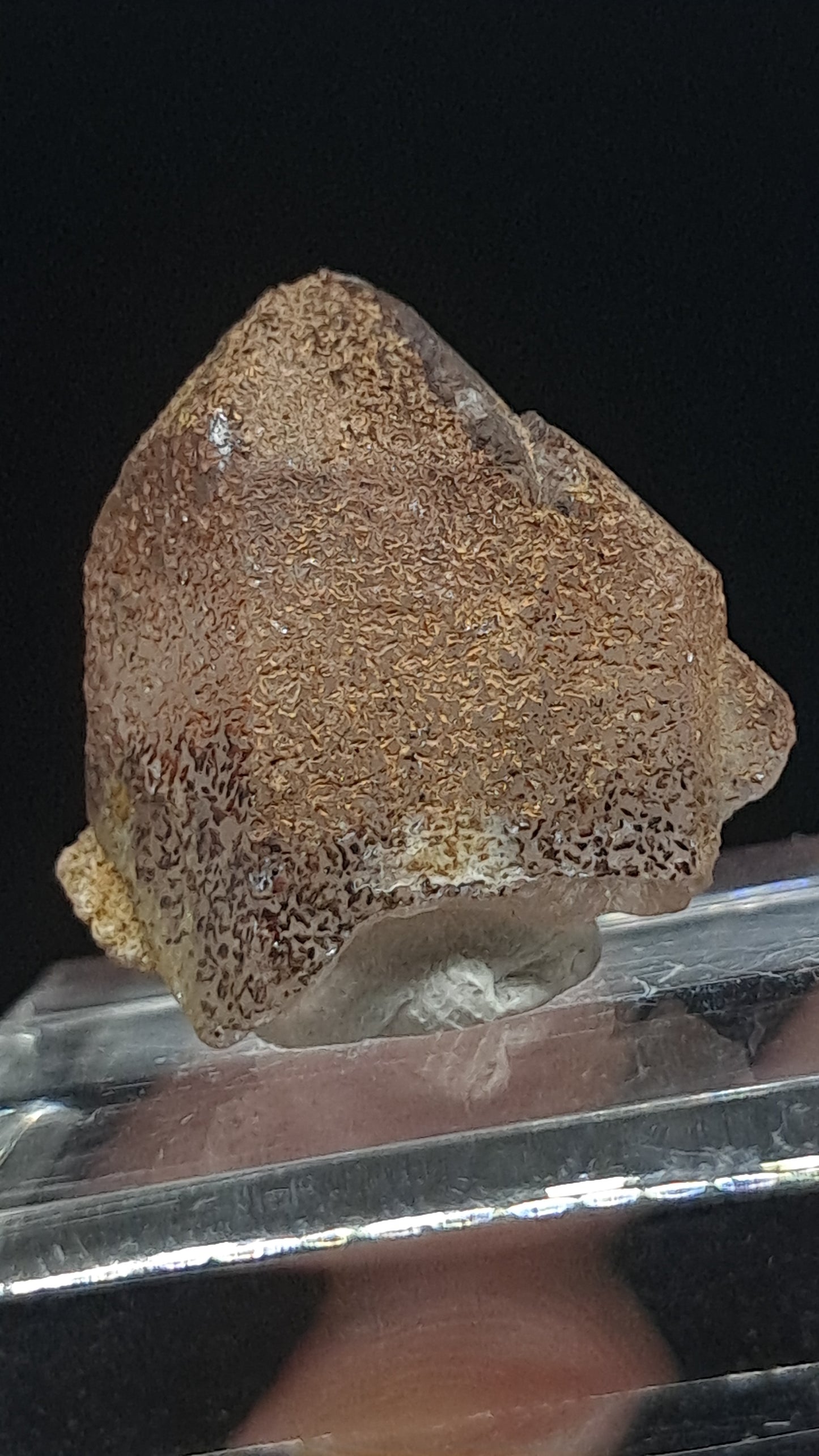 Smokey Elestial Quartz (Karur) Interesting Inclusions | Mineral Specimen #EQ31