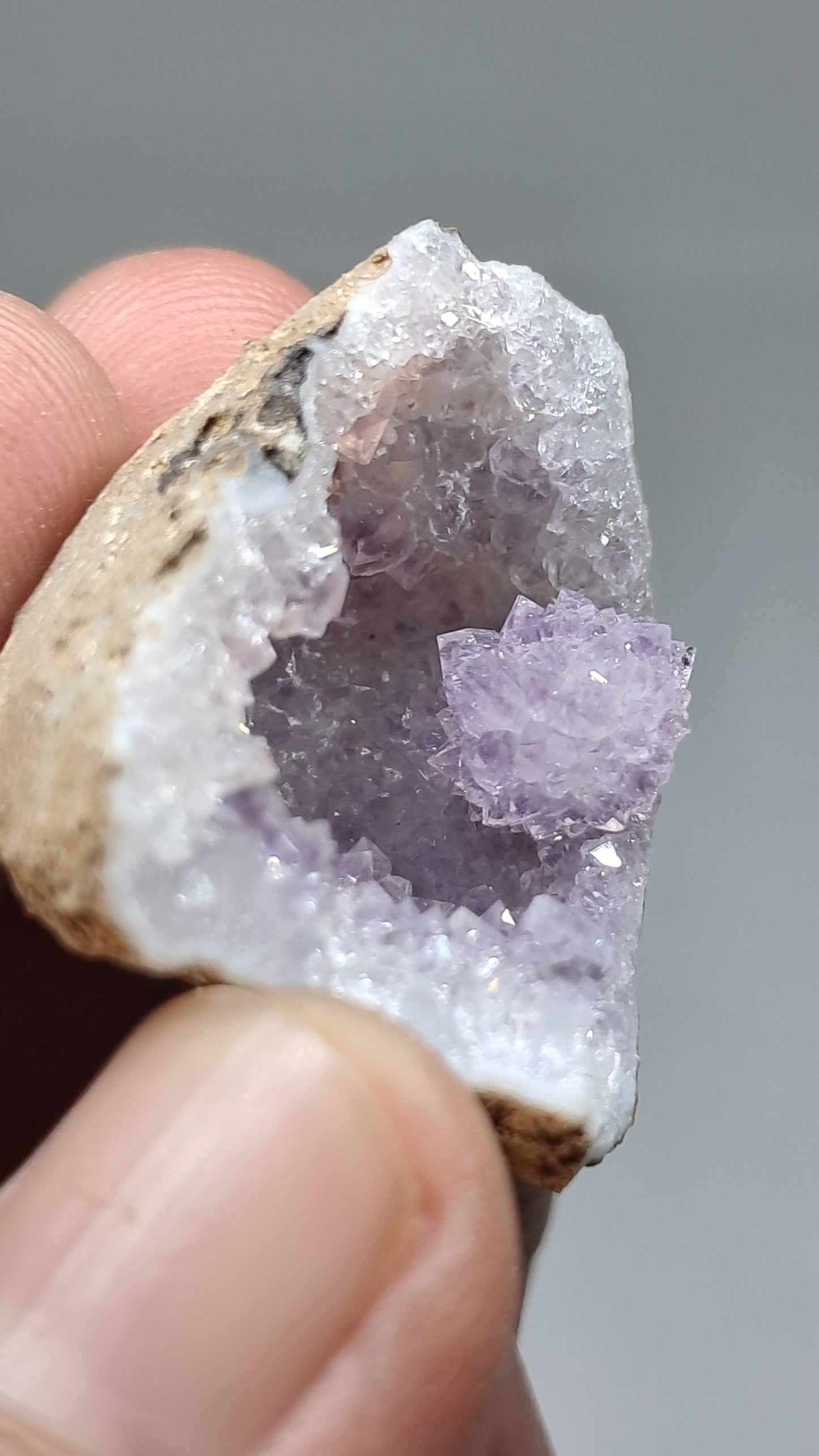 Geoda de amatista (Ajanta) | Cavidad profunda | Cristal natural | Piedra en bruto #GD29