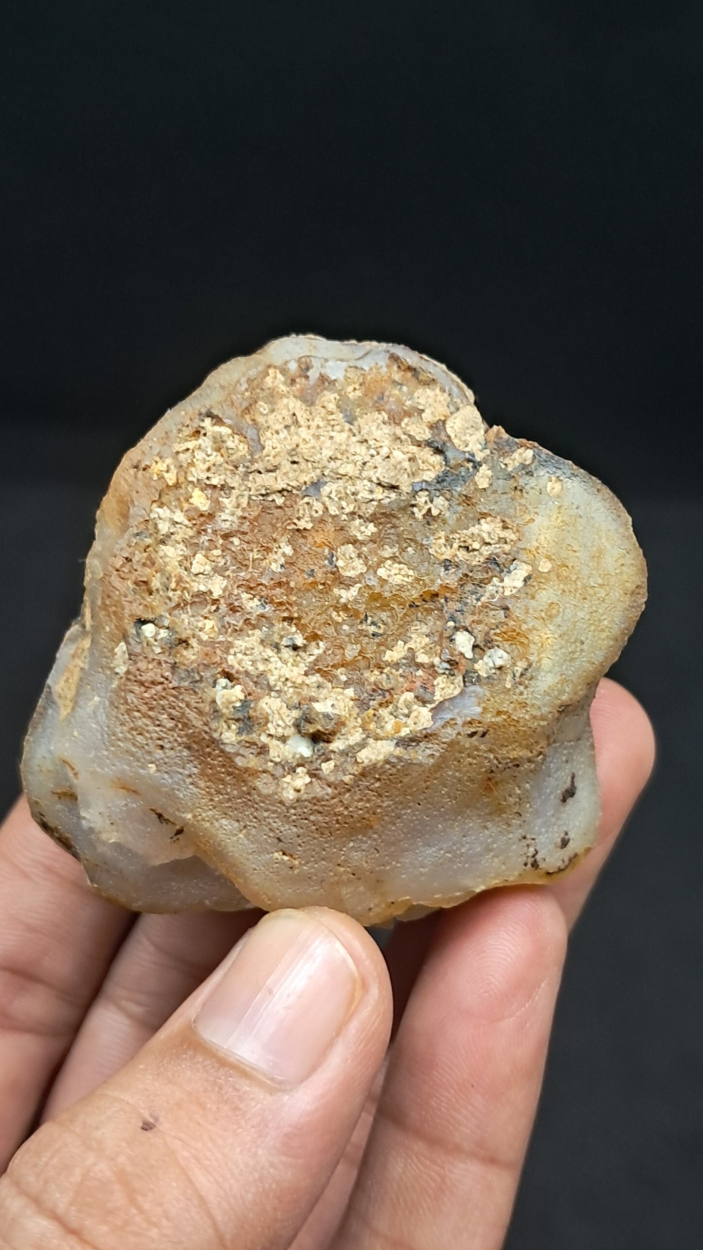 Amethyst Geode (Ajanta) | Deep Cavity | Natural Crystal | Rough Stone #GD35